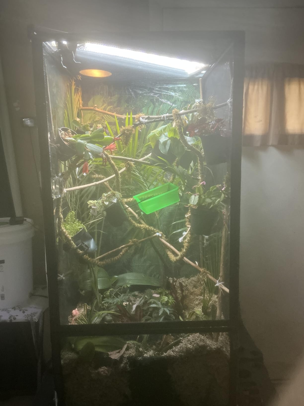 Zoo Med ReptiBreeze LED Deluxe Open Air Aluminum Screen Habitat, X-Large 24 x 24 x 48 customer photo 2