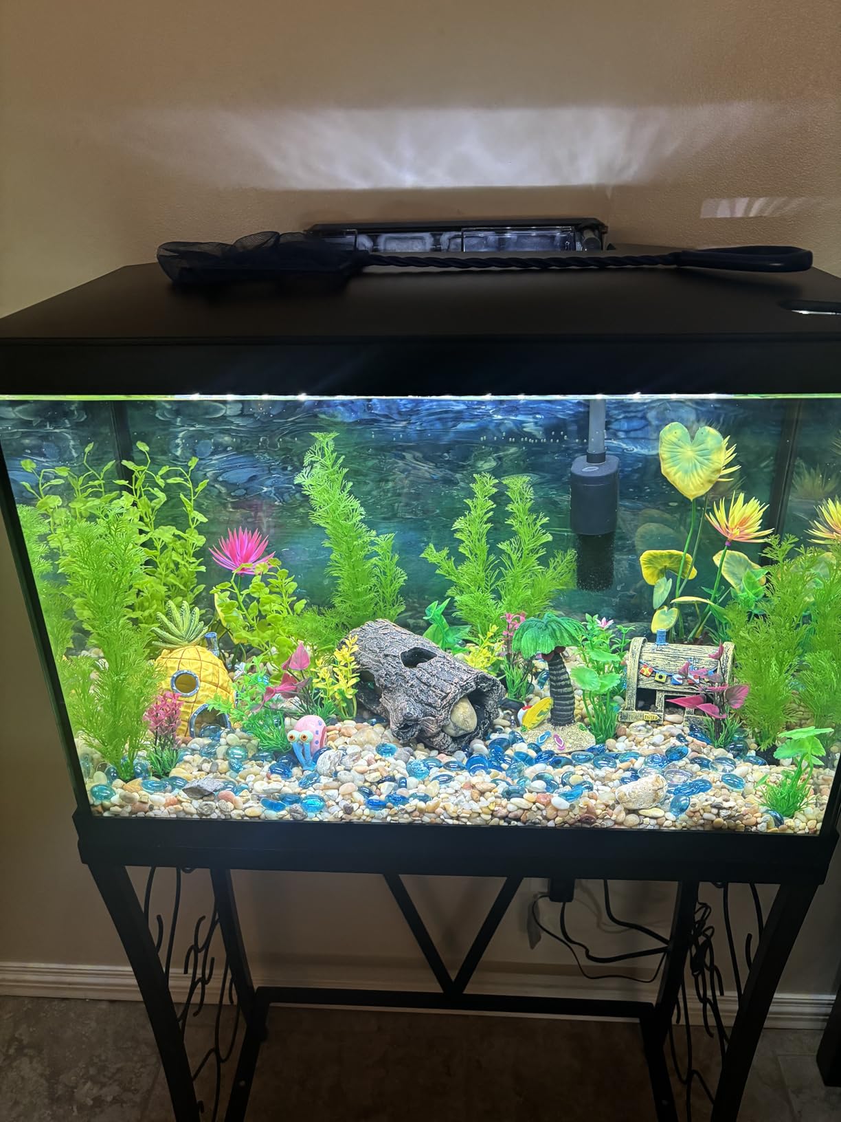 Marina 20 Gallon LED Aquarium Kit - Complete Fish Tank Setup with Filter, Lighting & Accessories customer photo 1