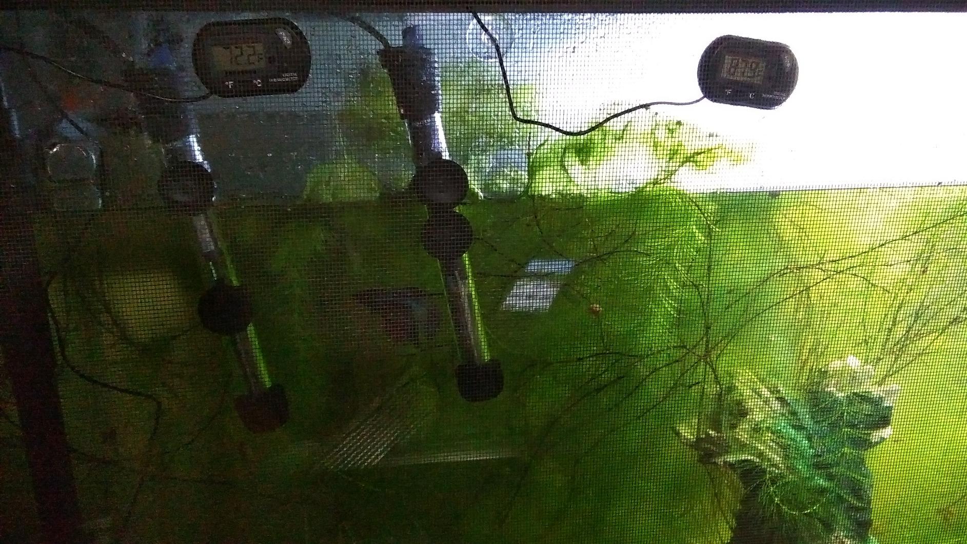 Petbank LCD Digital Aquarium Thermometer Fish Tank Water Terrarium Temperature customer photo 1