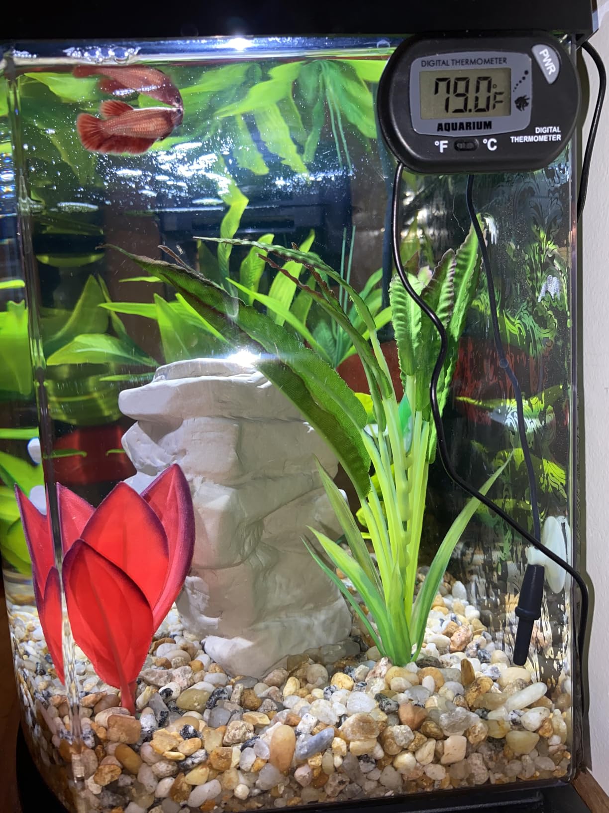 Petbank LCD Digital Aquarium Thermometer Fish Tank Water Terrarium Temperature customer photo 2