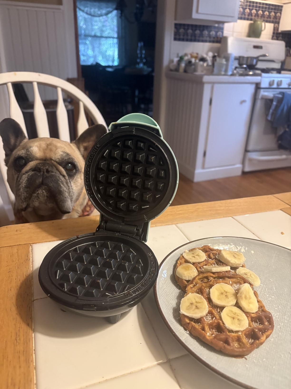 Dash Mini Waffle Maker - Compact Electric Iron for Creative Homemade Treats - Nonstick Surface - Easy-to-Clean - Perfect for Kids & Families - Aqua customer photo 2