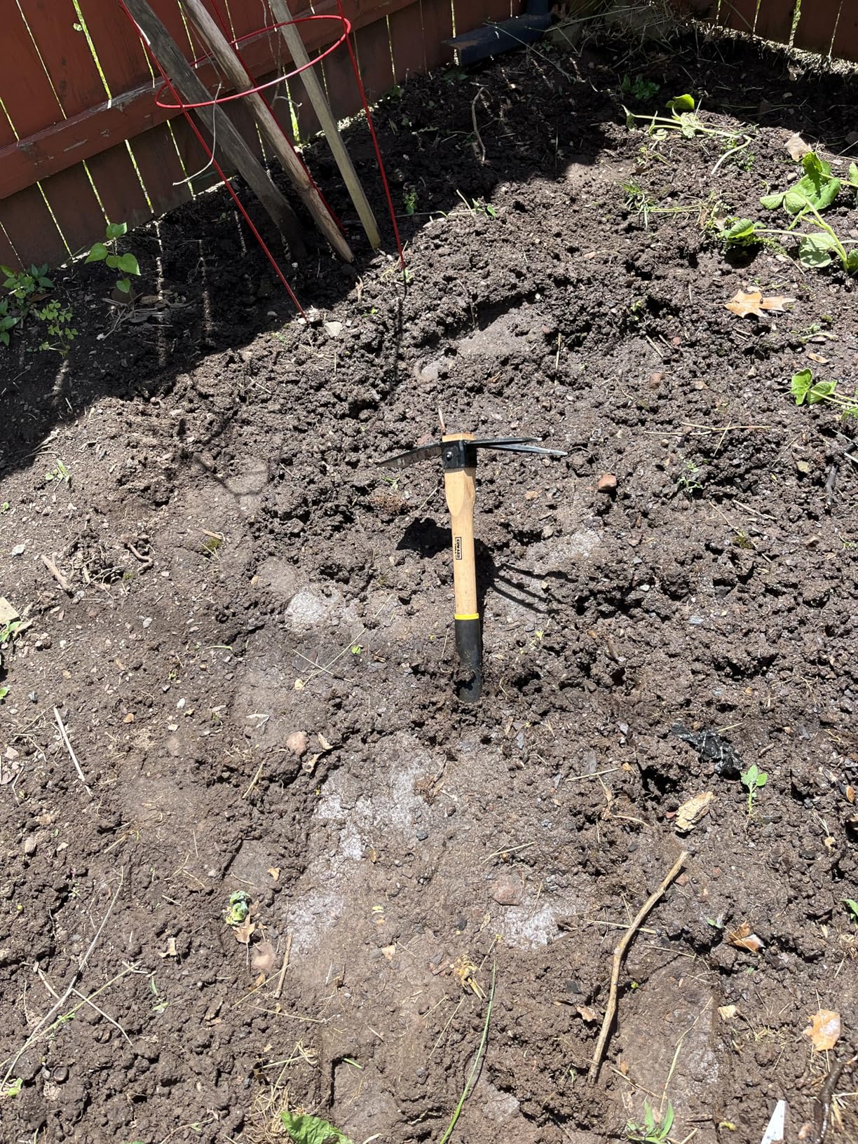 Edward Tools Hoe and Cultivator Hand Tiller - Carbon Steel Blade - Heavy Duty for loosening Soil, Weeding and Digging - Rubber Ergo Grip Handle - Rust Proof customer photo 1