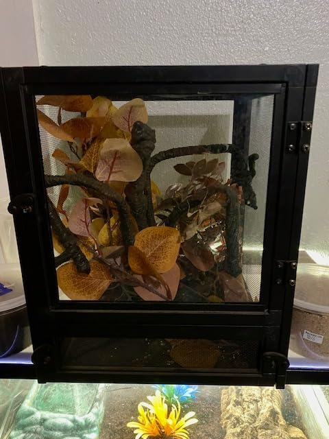 Zoo Med Labs Nano Breeze Aluminum Screen Cage 10 x 10 x 12 customer photo 1