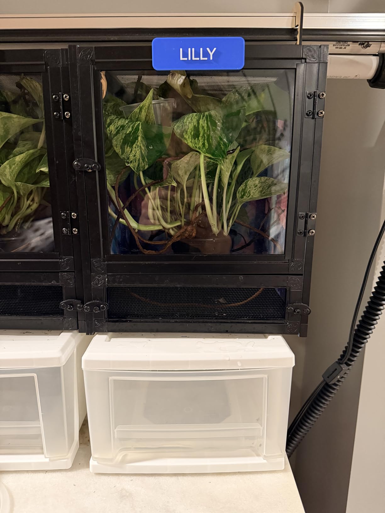 Zoo Med Labs Nano Breeze Aluminum Screen Cage 10 x 10 x 12 customer photo 2