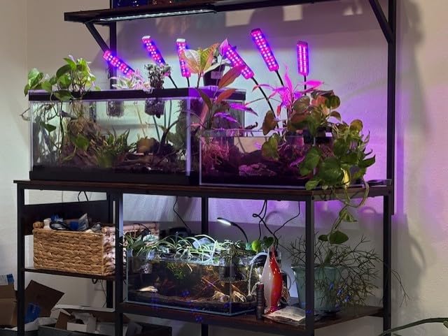LANDEN 90P 55 Gallon Rimless Low Iron Aquarium Tank, W35.4 x D19.7 x H19.7 in (90x50x50cm) 10mm Thickness with Black Nano Foam Leveling mat Included customer photo 1