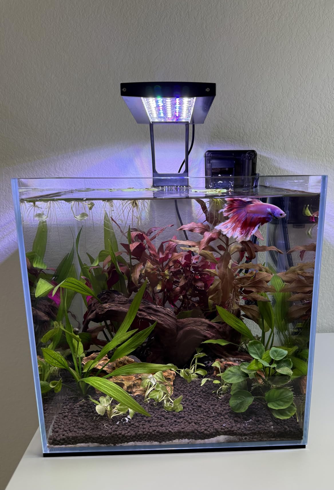 LANDEN 90P 55 Gallon Rimless Low Iron Aquarium Tank, W35.4 x D19.7 x H19.7 in (90x50x50cm) 10mm Thickness with Black Nano Foam Leveling mat Included customer photo 2