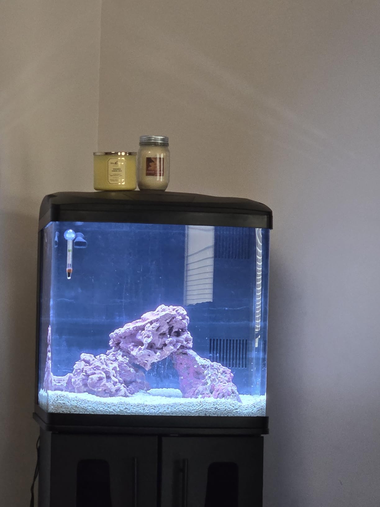 Coralife BioCube Aquarium Kit, Nano Tank with Customizable LED Lighting, for Saltwater and Freshwater, 16 Gallons customer photo 1
