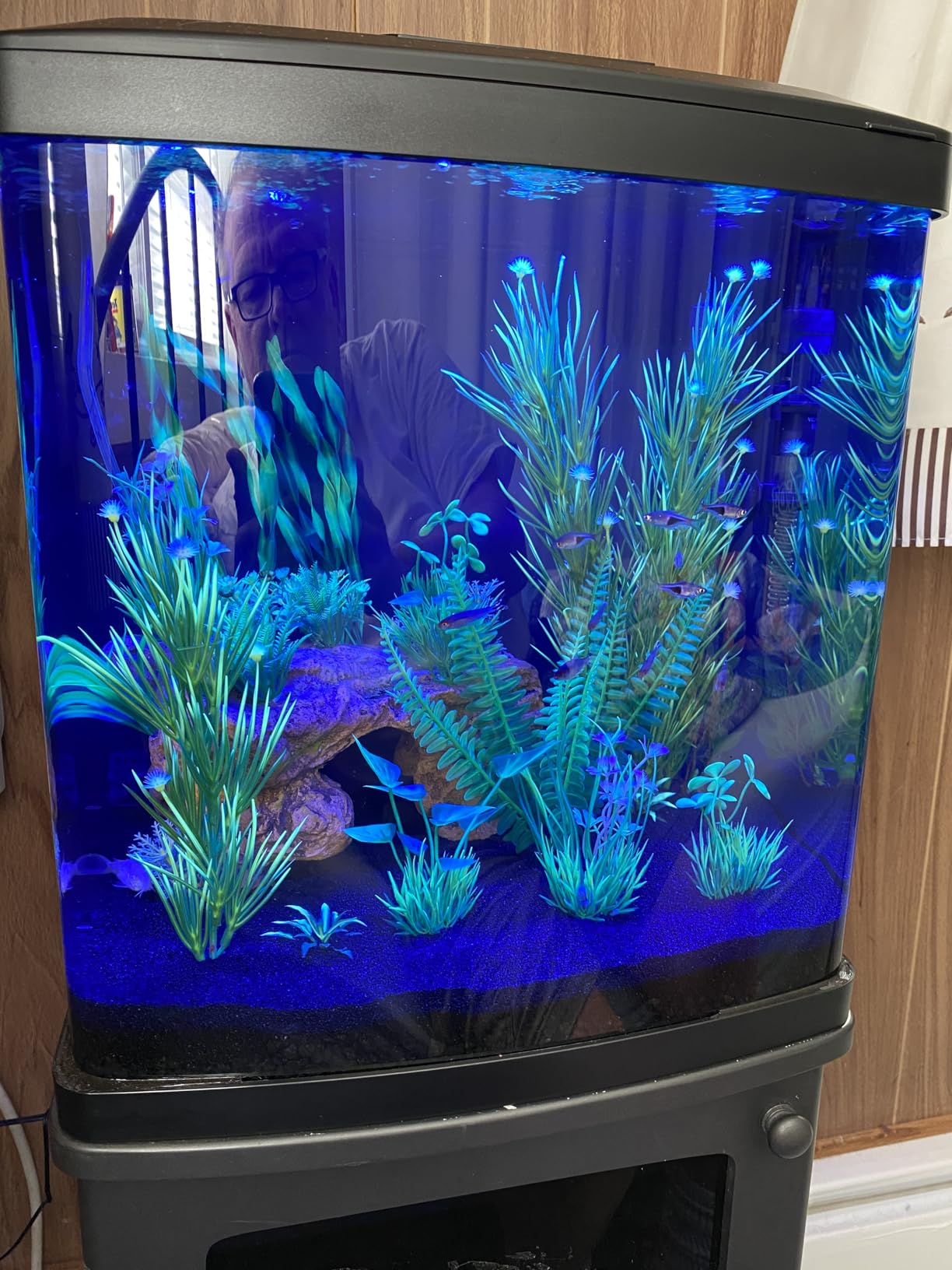 Coralife BioCube, Aquarium Kit, Integrated 24-hour Timer, Customizable LED Lighting, for Saltwater and Freshwater Environments, 32 Gallon customer photo 2