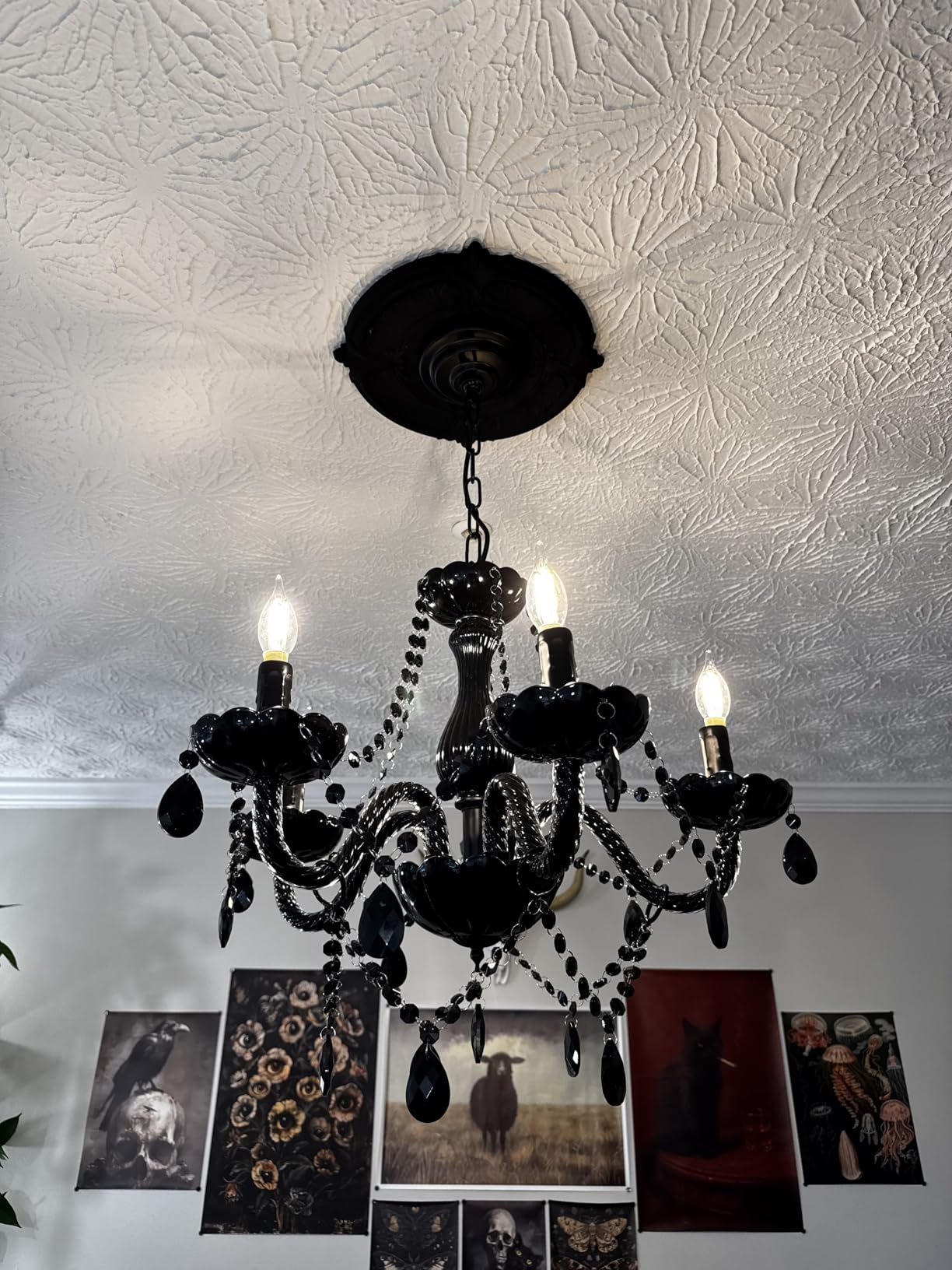 Saint Mossi 9 Light Modern Contemporary Elegant Crystal Glass Chandelier Pendant Ceiling Lighting Fixture customer photo 1