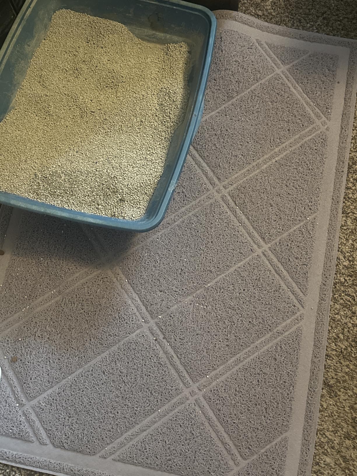 Amazon Basics Less-Mess Litter Trapping Cat Litter Box Mat, Soft on Kitty Paws, Waterproof, Scatter Control, 24 x 35, Grey customer photo 1