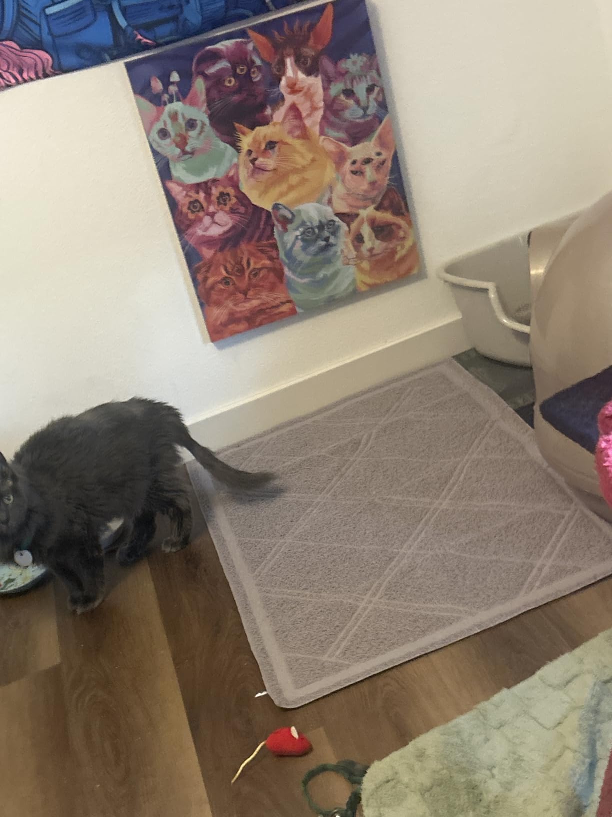 Amazon Basics Less-Mess Litter Trapping Cat Litter Box Mat, Soft on Kitty Paws, Waterproof, Scatter Control, 24 x 35, Grey customer photo 2