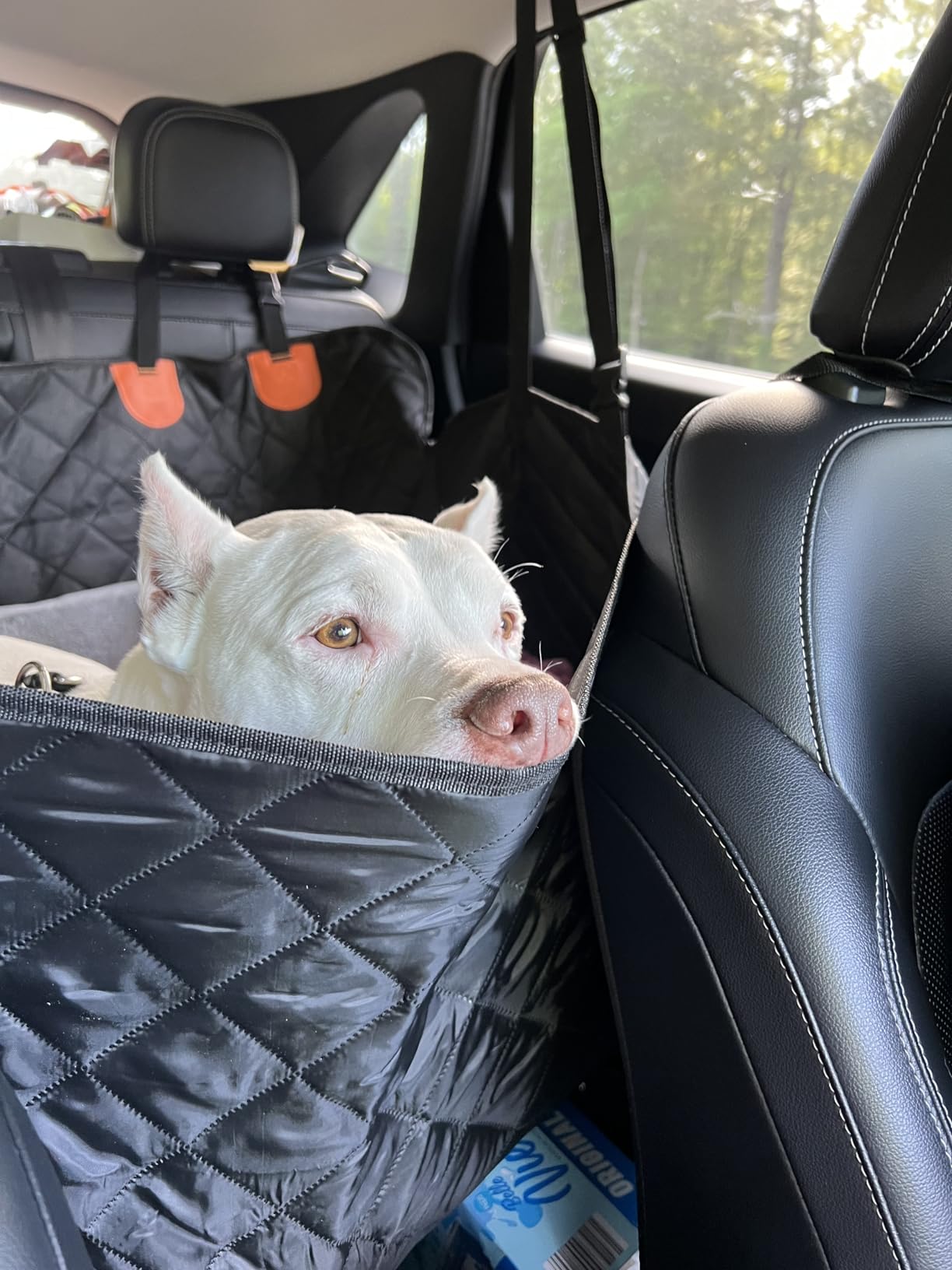 URPOWER Dog Car Seat Cover for Pets 100% Waterproof Seat Cover Hammock 600D Heavy Duty Scratch Proof Nonslip Durable Soft Back Seat Covers for Cars and SUVs customer photo 2