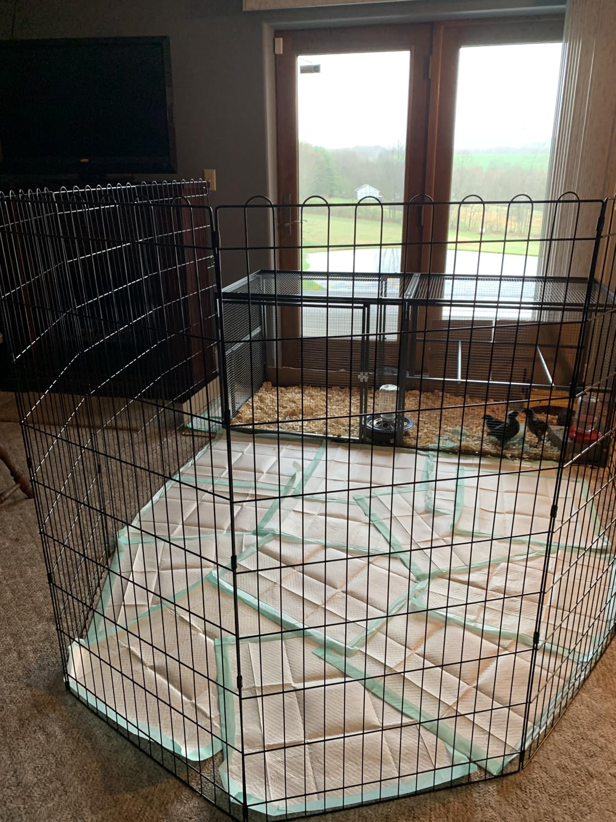 Amazon Basics Portable Foldable Octagonal Metal Exercise Dog Playpen, Indoor/Outdoor Pet Fence with Single Door, 8 Panels, Small, 30 Inches, Black customer photo 1