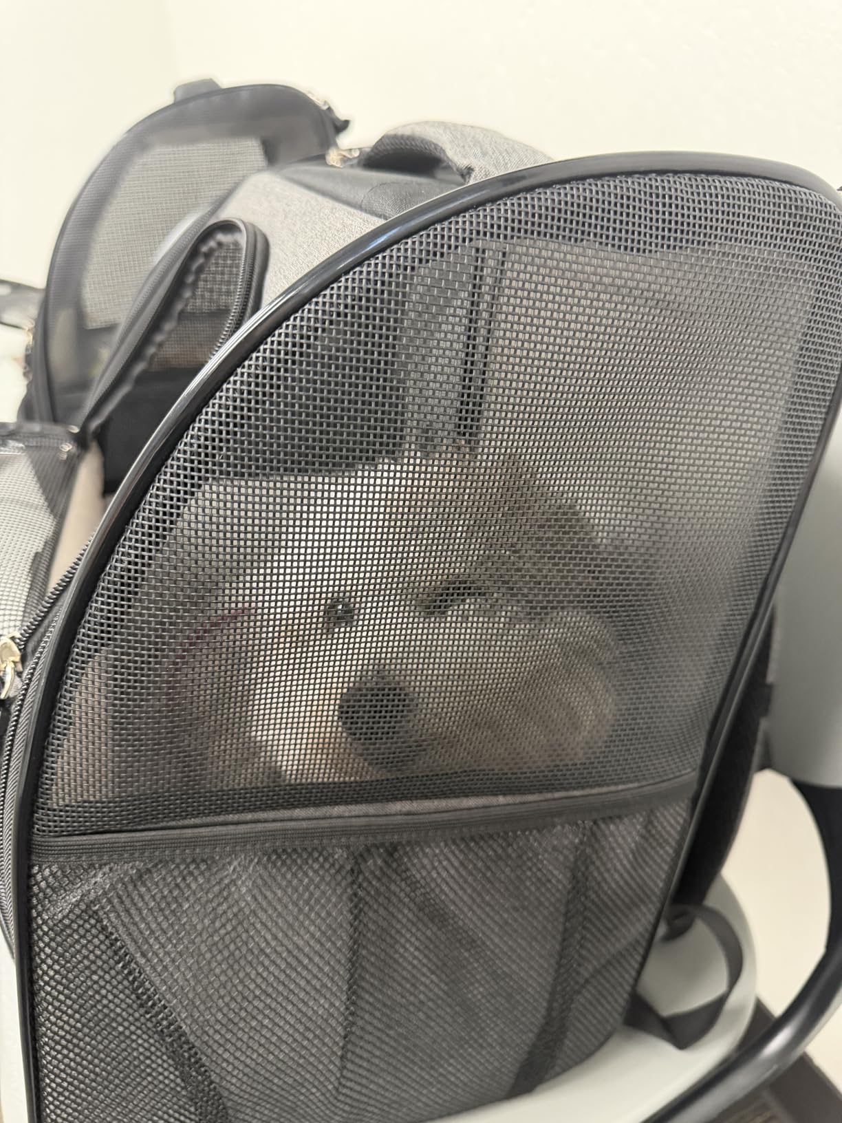 PetAmi Dog Backpack Carrier for Small Large Cat, Pet, Puppy, Ventilated Pet Hiking Backpack Travel Bag, Airline Approved Cat Backpack Carrier, Camping Biking Dog Bag Up to 18lbs customer photo 1