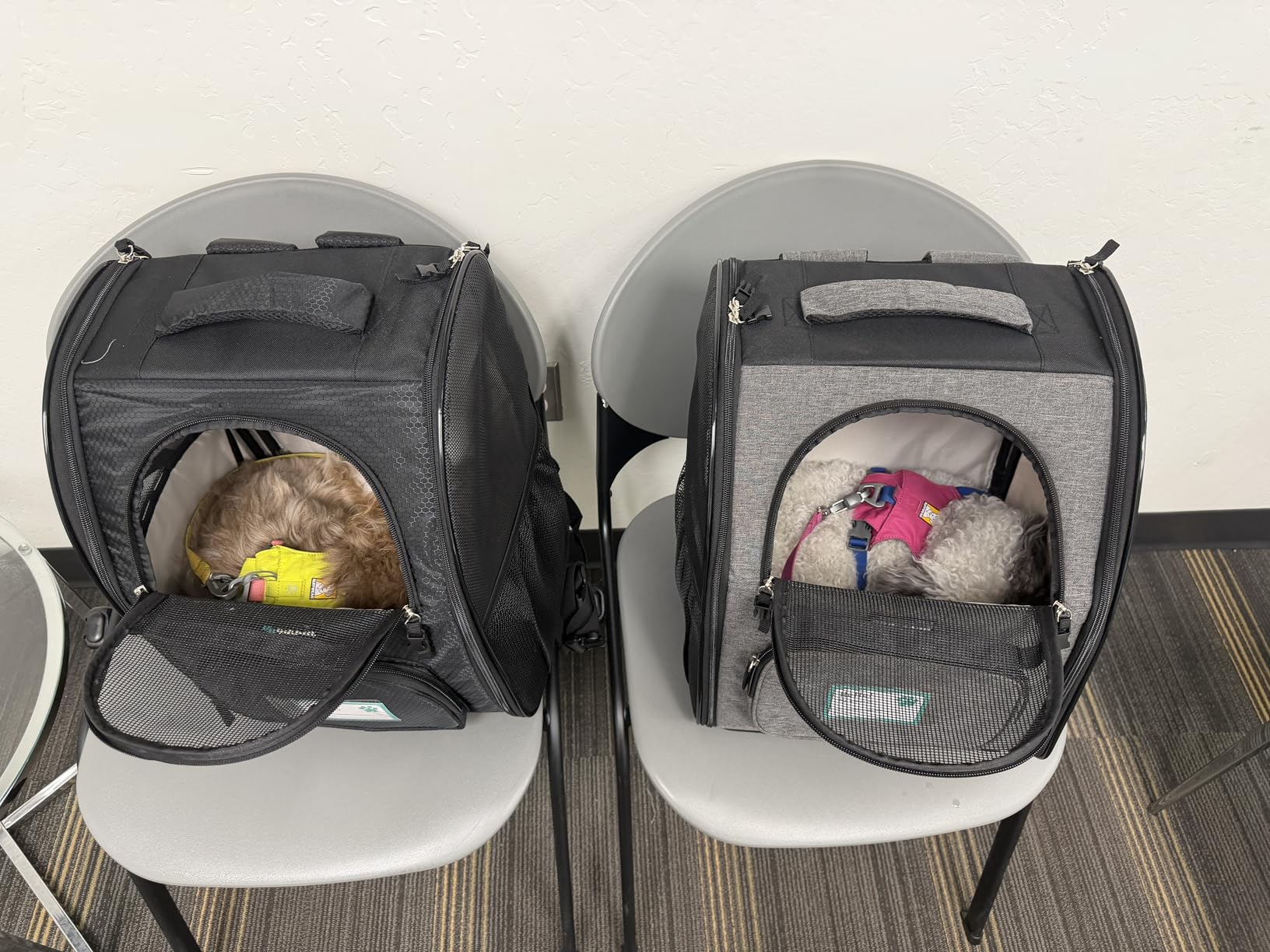 PetAmi Dog Backpack Carrier for Small Large Cat, Pet, Puppy, Ventilated Pet Hiking Backpack Travel Bag, Airline Approved Cat Backpack Carrier, Camping Biking Dog Bag Up to 18lbs Pet, Grey customer photo 1