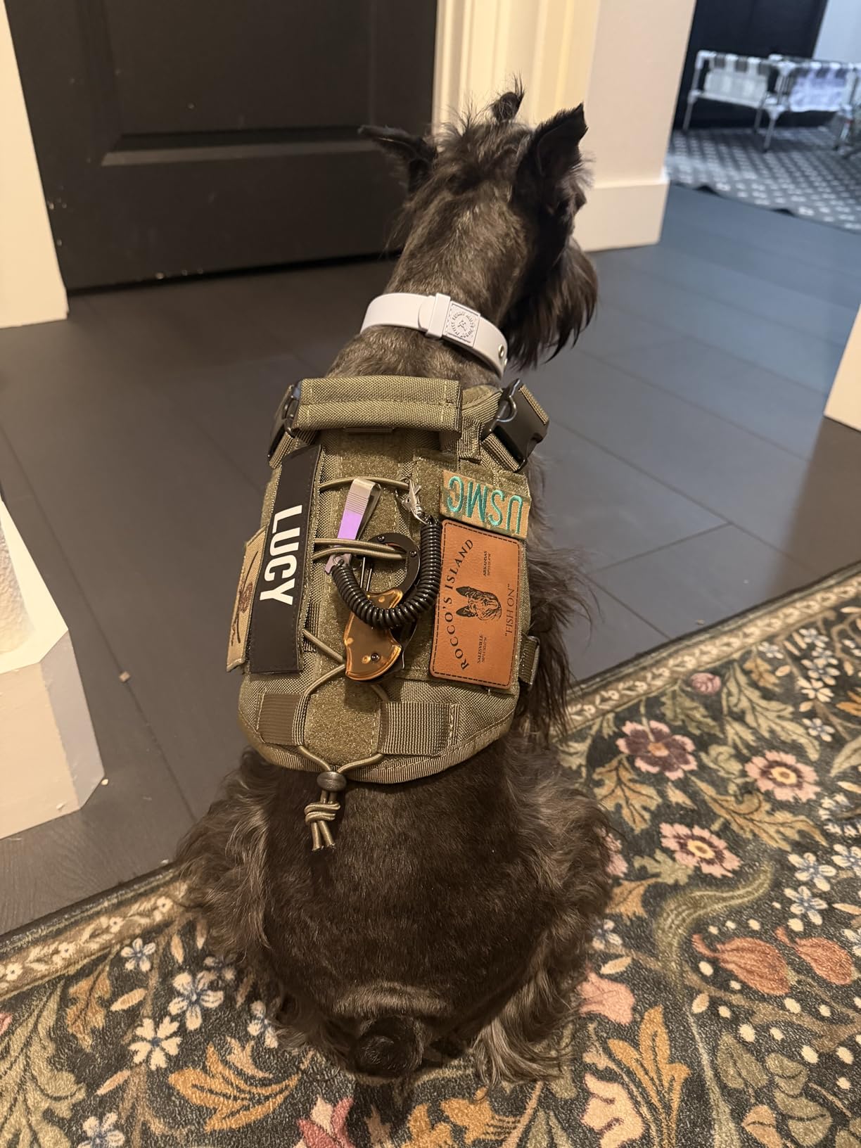 OneTigris Tactical Dog Training Vest No Pull Harness for Dogs, Adjustable Dog Hiking Harness Working Vest (Grey, Large) customer photo 2