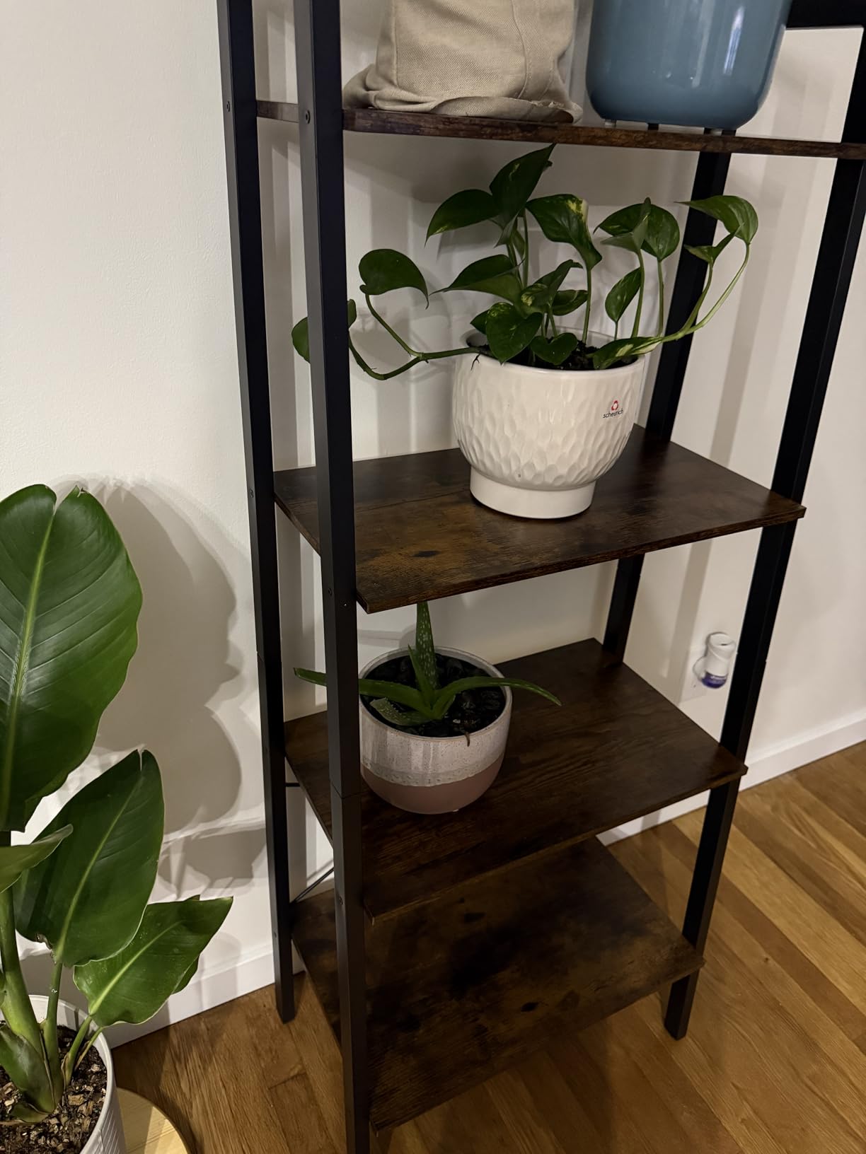 VASAGLE Ladder Shelf, 5-Tier Bookshelf, Storage Rack, Bookcase with Steel Frame, for Living Room, Home Office, Kitchen, Bedroom, Industrial Style, Rustic Brown and Ink Black ULLS45X customer photo 2