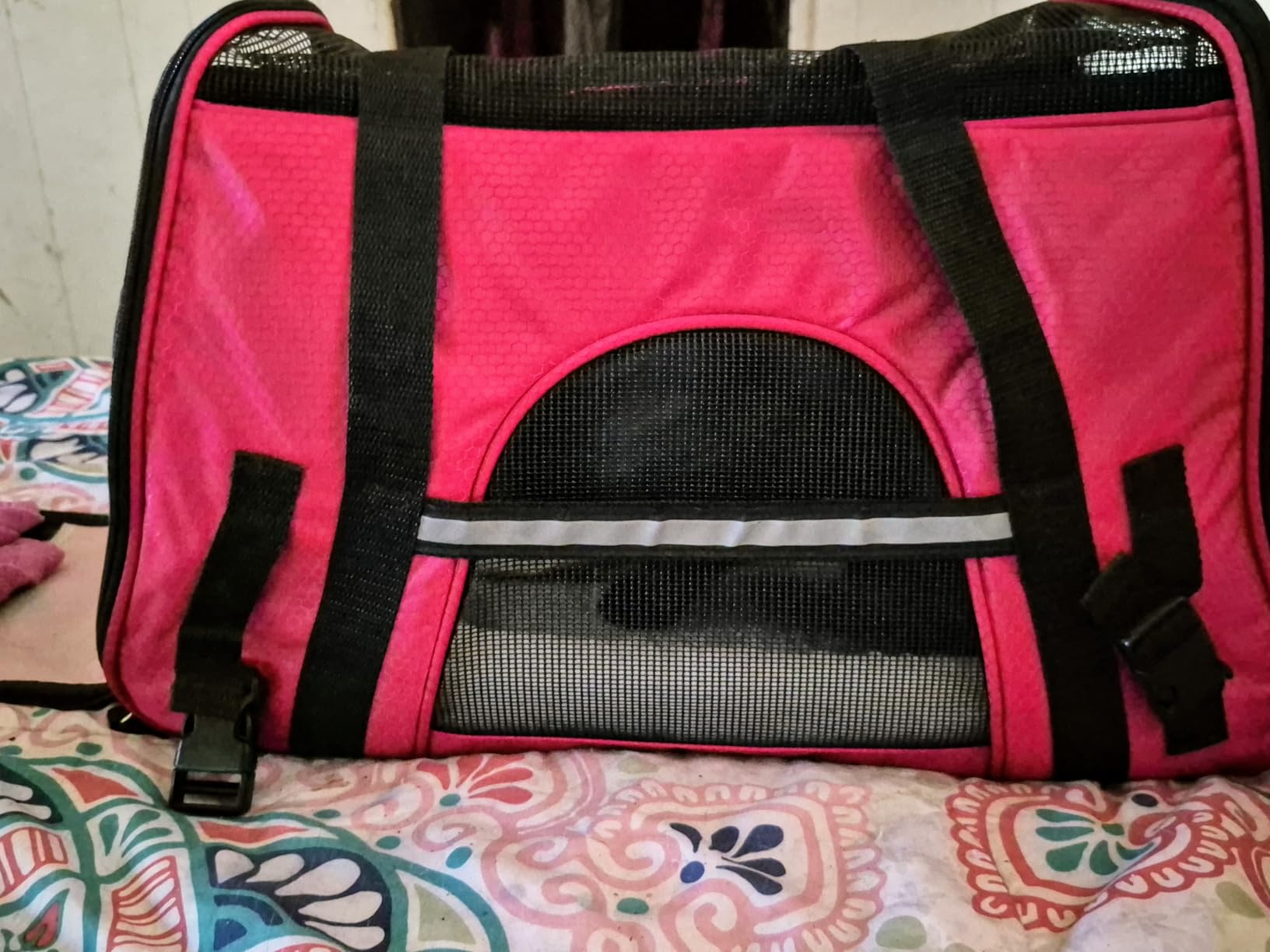 PetAmi Airline Approved Pet Carrier for Cats & Small Dogs, Soft Sided TSA Travel Carrier Bag with Sherpa Bed, Breathable Mesh Ventilation, Collapsible Bowl, Up to 18 lbs, Small Heather Taupe customer photo 2