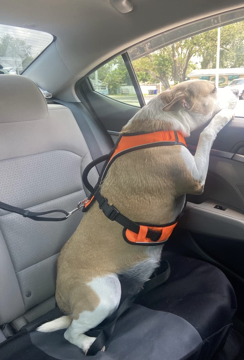 BWOGUE Pet Dog Cat Seat Belts, Car Headrest Restraint Adjustable Safety Leads Vehicle Seatbelt Harness (1 Pack) customer photo 2