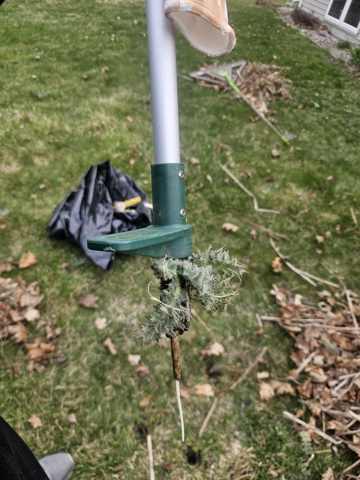 Walensee Weed Puller, Stand Up Weeder Hand Tool, Long Handle Garden Weeding Tool with 3 Claws, Hand Weed Hound Weed Puller for Dandelion, Standup Weed Root Pulling Tool and Picker, Grabber (1 Pack) customer photo 1