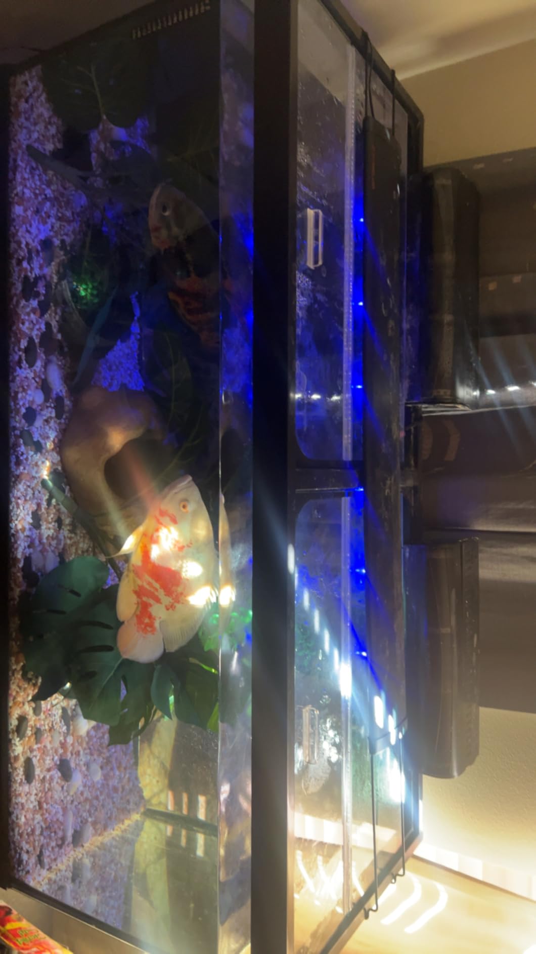 Glass Canopy Two Piece Set for Aquariums with Center Braces, 48