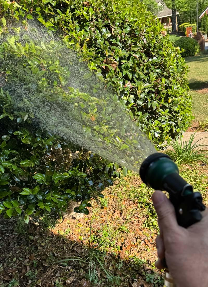 AUTOMAN-Garden-Hose-Nozzle, ABS Water Spray Nozzle with 7 Adjustable Watering Patterns, Slip Resistant for Watering Plants, Lawn& Garden, Washing Cars, Cleaning, Showering Pets & Outdoor Fun. customer photo 1