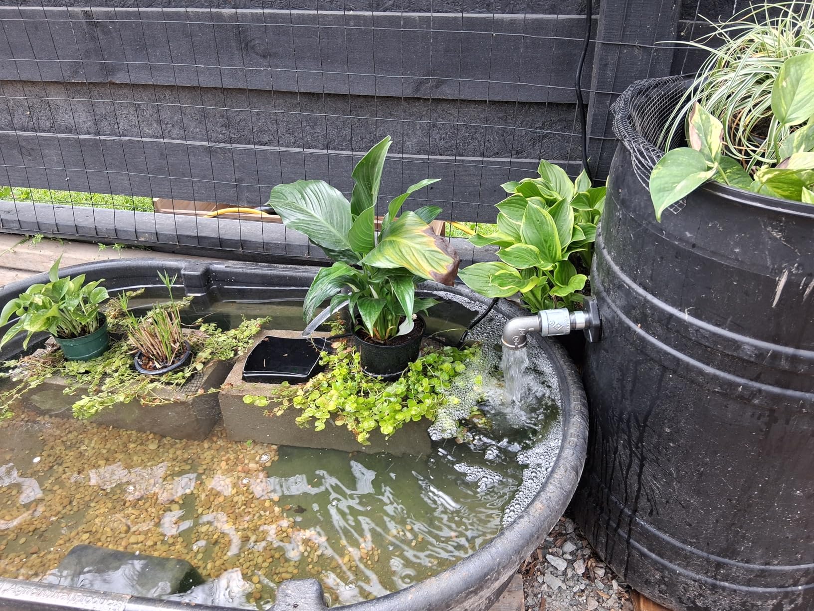 VIVOSUN 800GPH Submersible Pump(3000L/H, 24W), Ultra Quiet Water Fountain Pump with 10ft High Lift customer photo 1