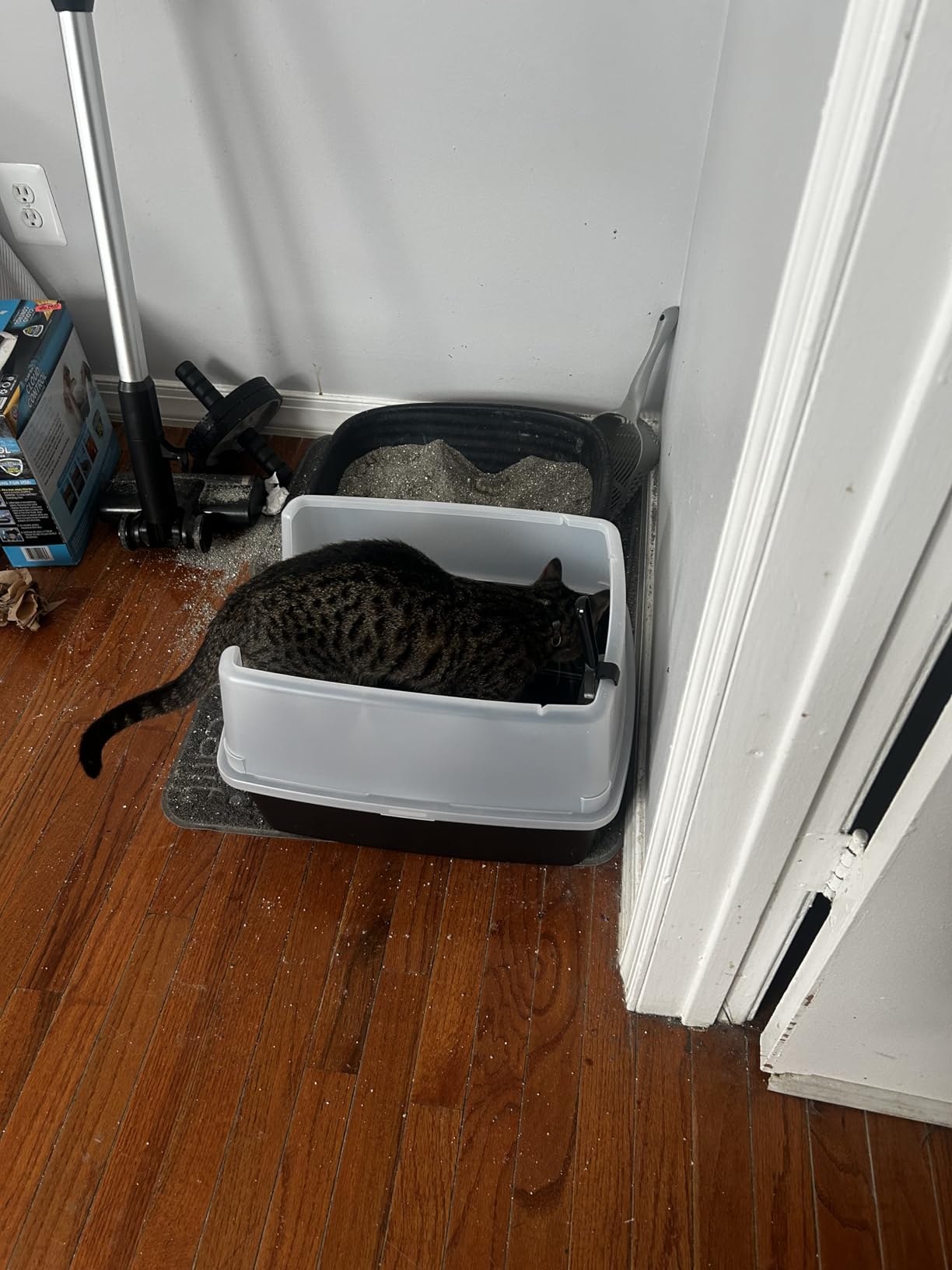 IRIS USA Cat Litter Box Large Open Top with High Sided Walls Tall Scatter Shield Scoop Included Easy Clean Plastic Pan Stain Resistant for Big Cats Kittens Indoor Multi-Cat Households customer photo 2