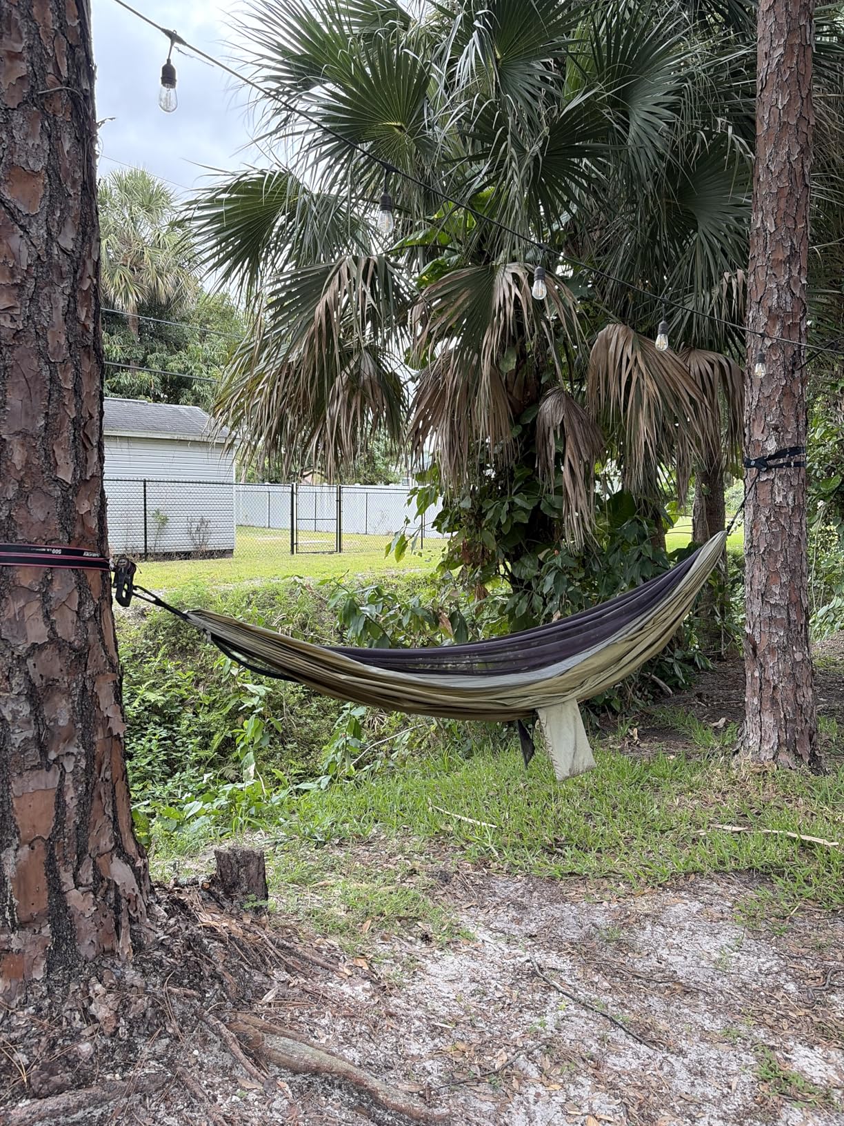 Covacure Camping Hammock - Lightweight Double Hammock, Hold Up to 772lbs, Portable Hammocks for Indoor, Outdoor, Hiking, Camping, Backpacking, Travel, Backyard, Beach customer photo 2