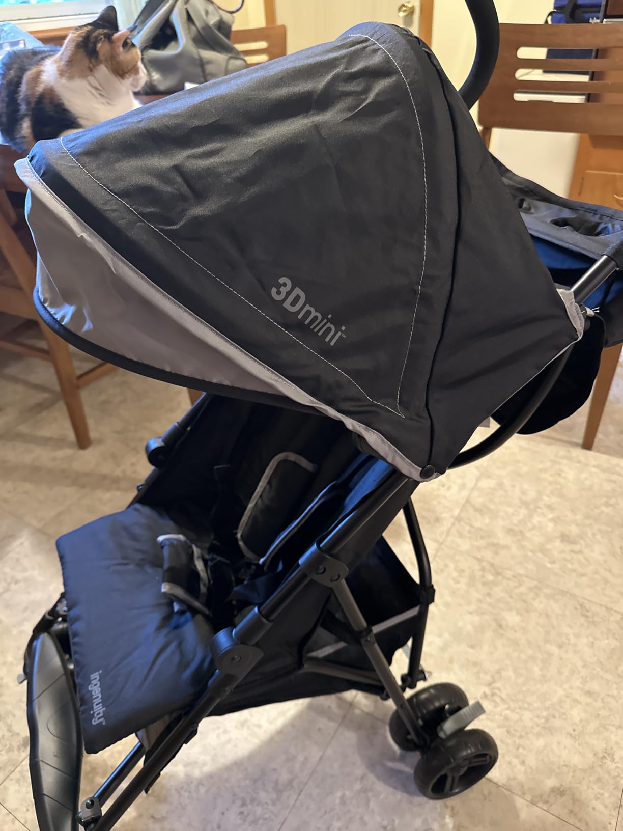 Ingenuity 3D Mini Convenience Stroller - Lightweight Stroller with Compact Fold, Multi-Position Recline, Canopy with Pop Out Sun Visor - Umbrella Stroller for Travel, Gray customer photo 2