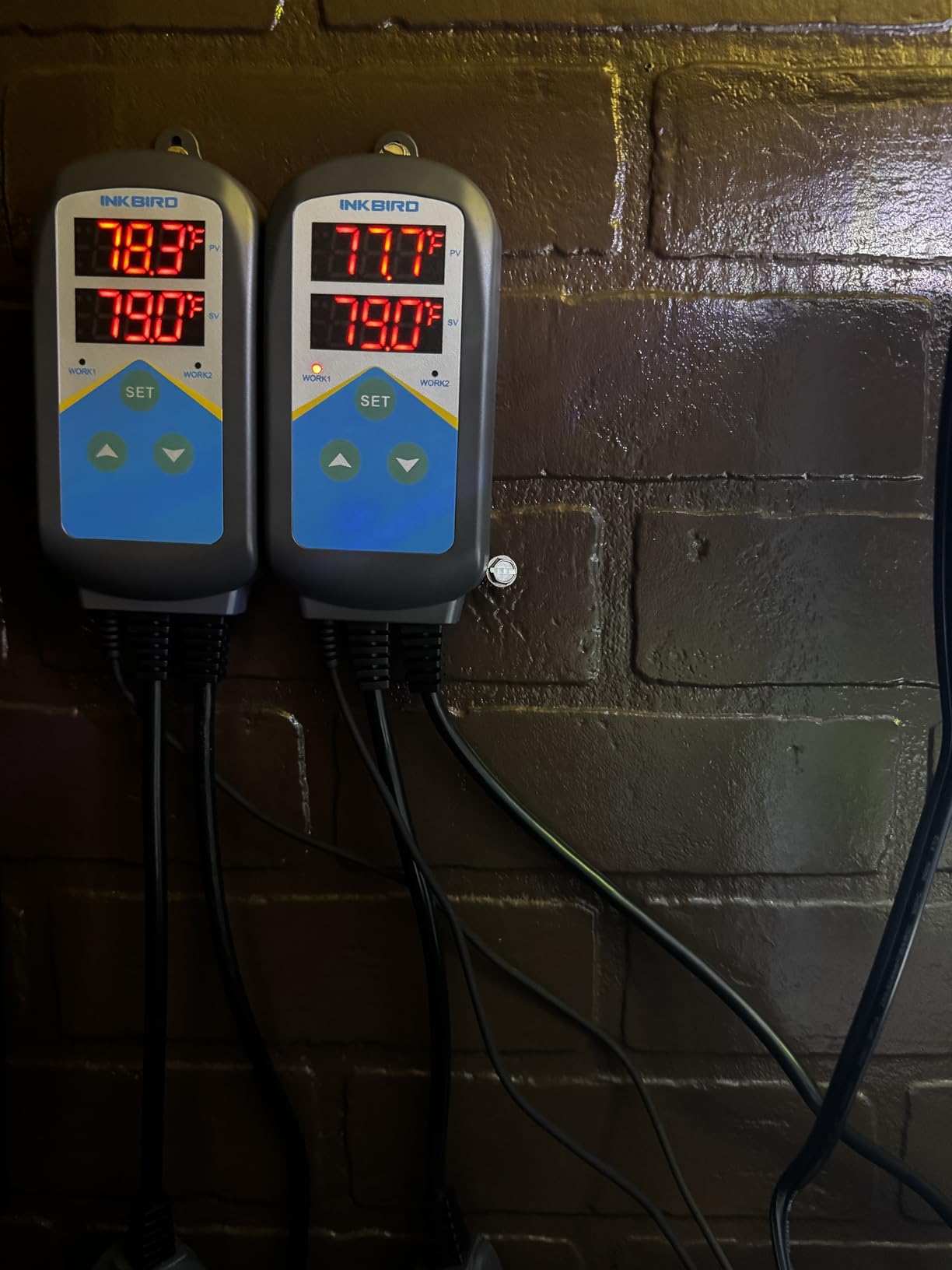 Inkbird Aquarium Heater with Probe Thermostat for Fish Ornamental Shrimp Reef Tanks, 24 Hours Double Time with Day Night Automatic Temperature Controller customer photo 2