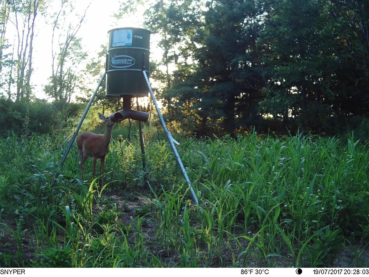 Boss Buck Hunting Game & Deer Feeder with 3 10-Inch Feed Ports and 4-Inch I.D. Openings customer photo 1