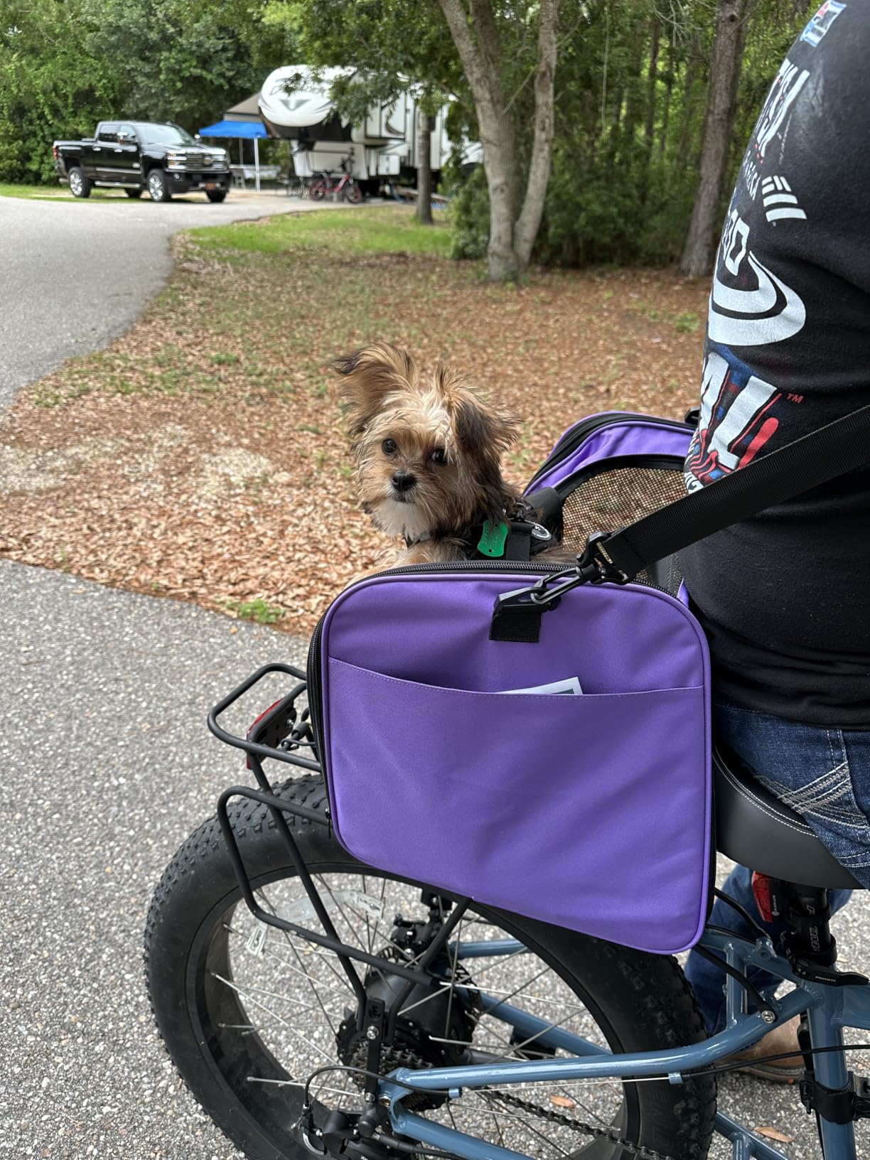 Henkelion Large Soft Sided Cat and Pet Carrier for Cats and Puppies up to 25Lbs - Collapsible, Waterproof Travel Carrier - Black customer photo 2