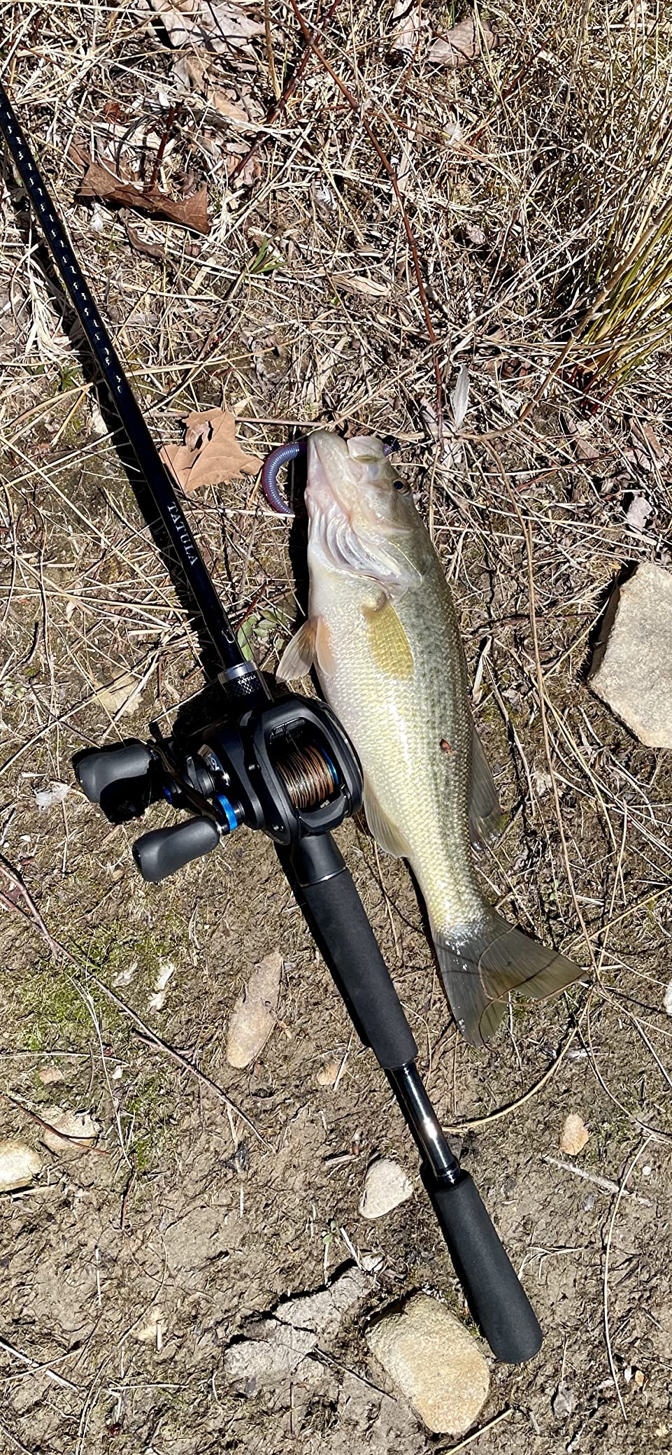 SHIMANO SLX DC customer photo 1