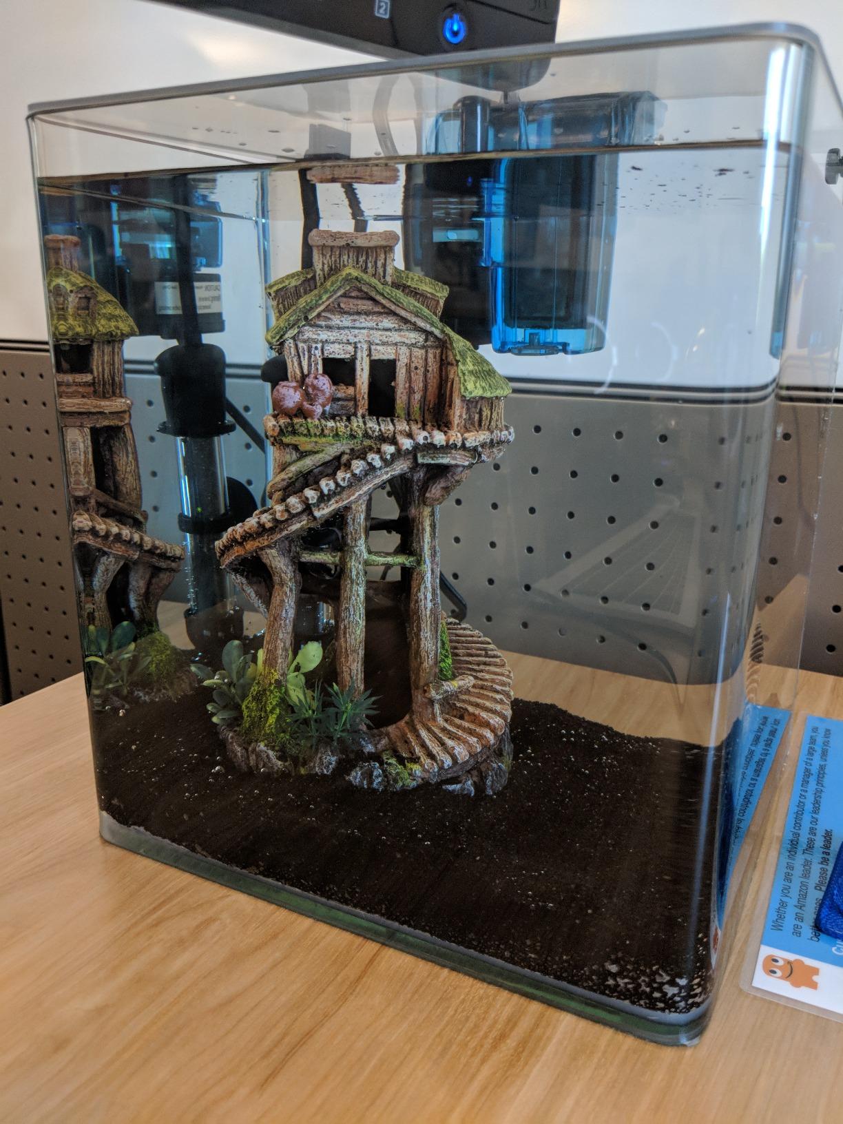Penn-Plax Water-World Vertex Desktop Aquarium Kit - Perfect for Shrimp & Small Fish - 10 Gallon Tank customer photo 1