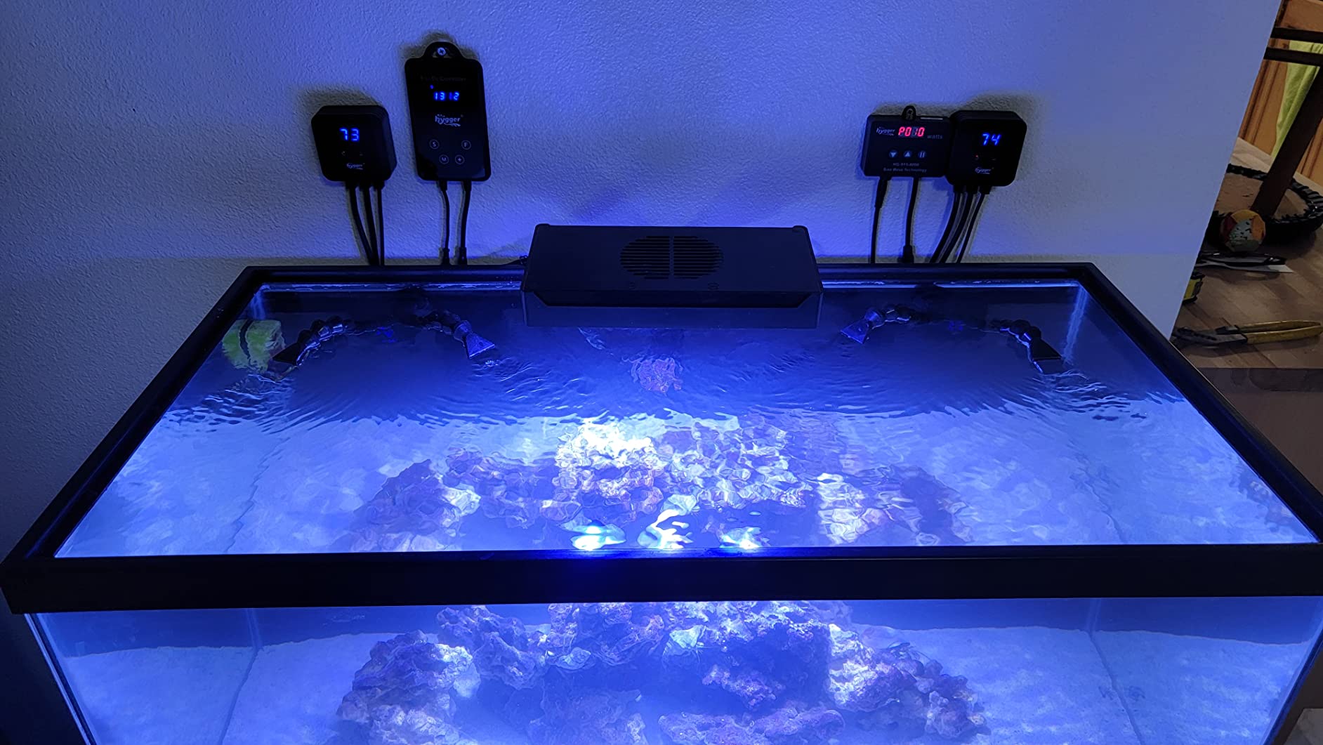 hygger 1060GPH Quiet Submersible and External 24V Water Pump with Controller (30%-100% Settings) customer photo 2