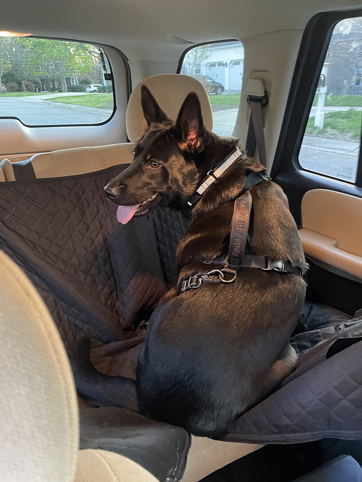 Dog Seat Belt 3-in-1 Car Harness for Dogs Adjustable Safety Seatbelt for Car Nylon Reflective Bungee Fabric Dog Car Harness with Clip Hook Latch & Buckle, Swivel Zinc Alloy Carabiner (Black) customer photo 2