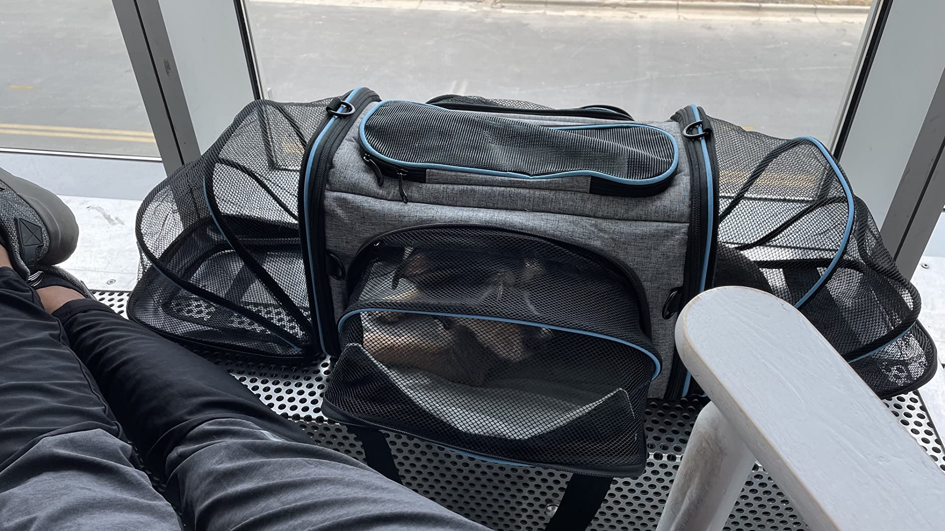 Airline Approved Pet Carrier, Large Soft Sided Pet Travel TSA Carrier 4 Sides Expandable Cat Collapsible Carriers with Removable Fleece Pad and Pockets for Cats Dogs and Small Animals customer photo 1