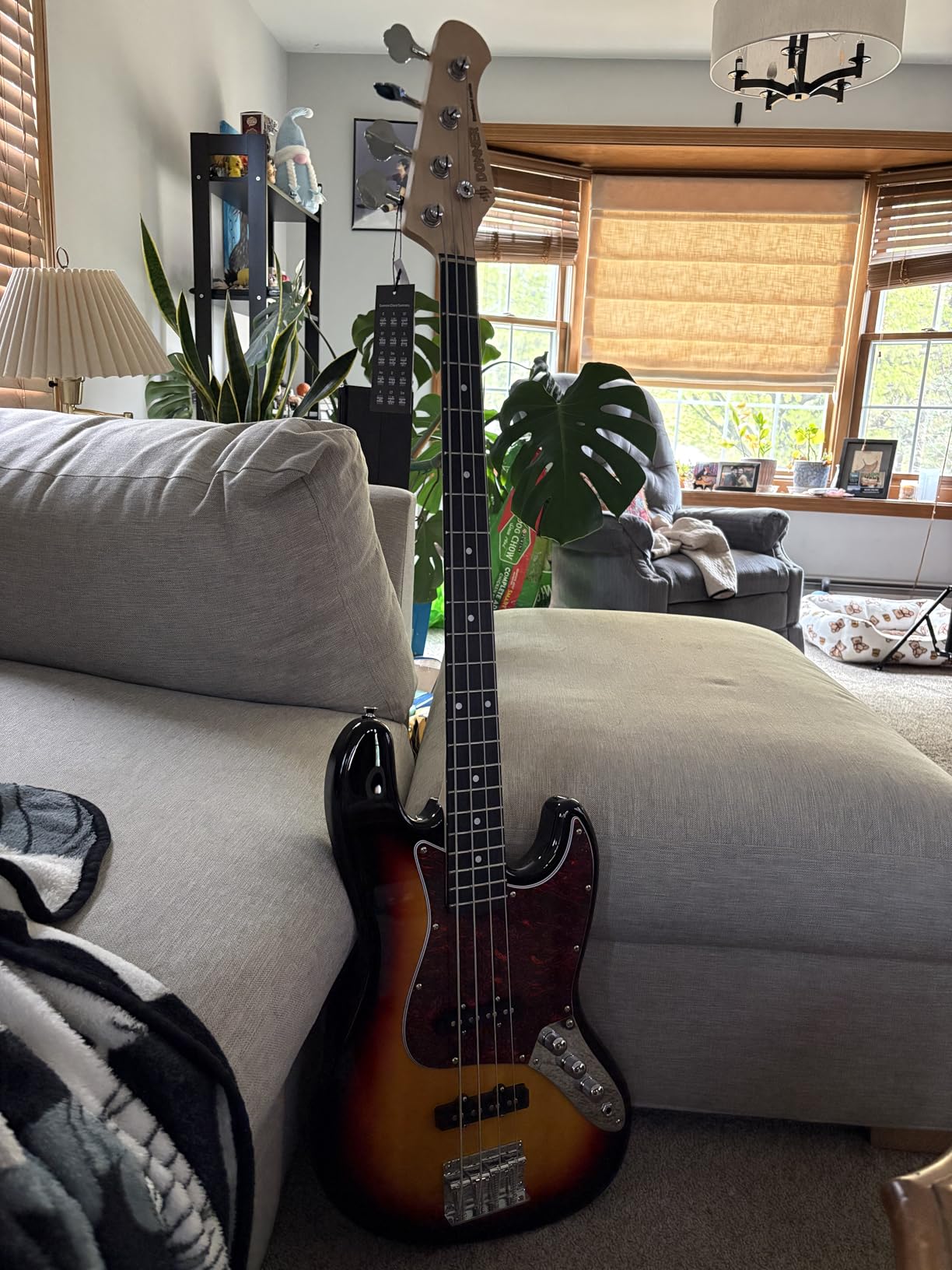 Donner Electric Bass Guitar 4 Strings Full-Size Standard Bass PB-Style Beginner Kit Sunburst for Starter with Free Online Lesson Gig Bag Guitar Strap and Guitar Cable, DPB-510S customer photo 1