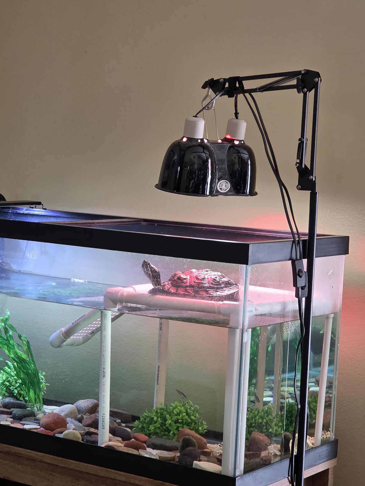 LUCKY HERP UVA UVB Reptile Light 10.0, Desert UVB 150 Compact Fluorescent Lamp, 23W customer photo 1