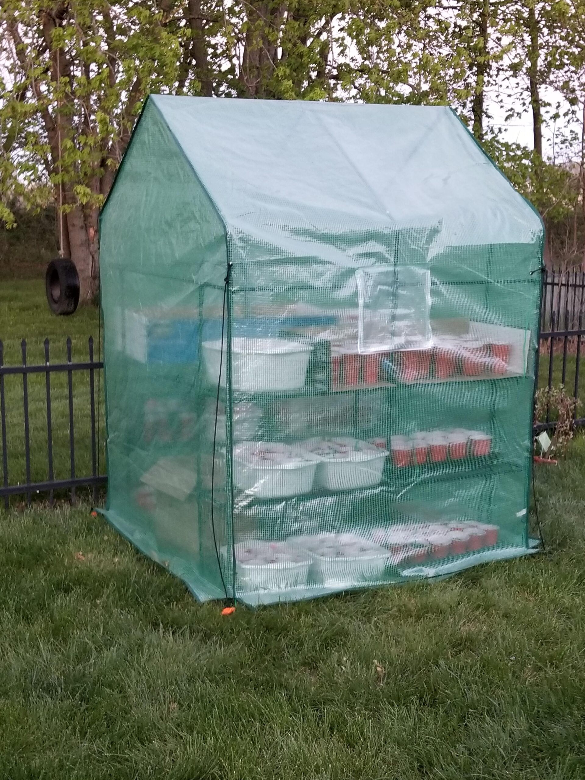 VIVOSUN 10x7x7 Ft. Large Walk in Greenhouse, Greenhouse Tunnel, Garden Plant Hot House with Green PE Cover, Roll-up Zipper Door and Window for Outdoor customer photo 2