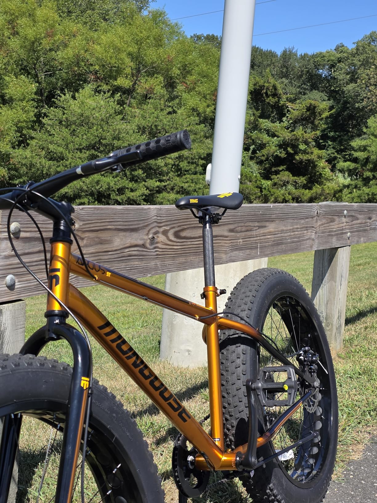 Mongoose Argus Trail or ST Fat Tire Mountain Bike, 20, 24 or 26 Inch Bike for Kids and Adults, 7 or 16 Speed customer photo 1