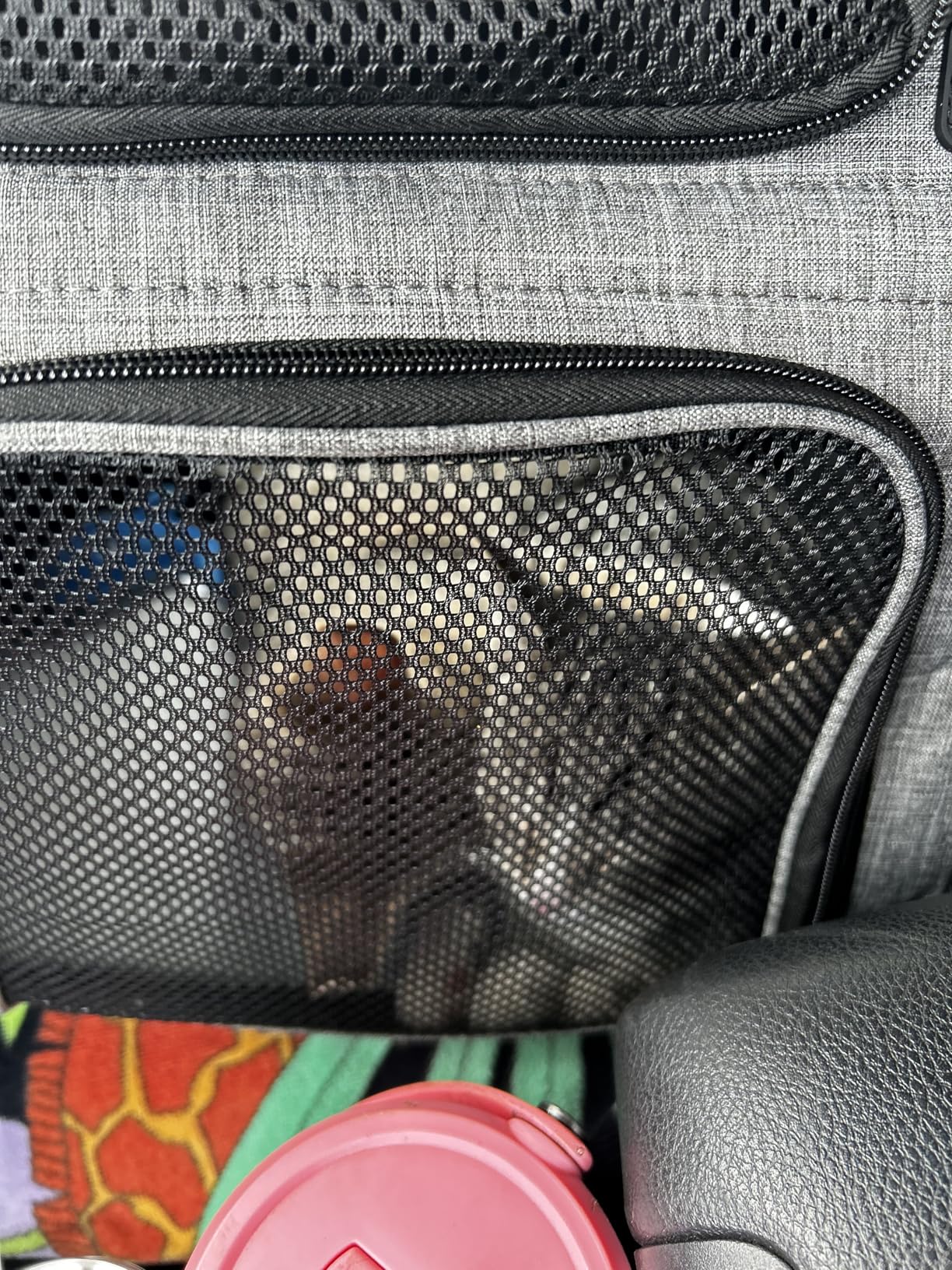 Pecute Cat Backpack Carrier Expandable, Foldable Pet Backpack for Cats & Small Dogs Up to 11lbs, with 4-Side Breathable Mesh, Multi-Entry & Lockable Zippers for Travel, Hiking, Camping - Hands Free customer photo 1