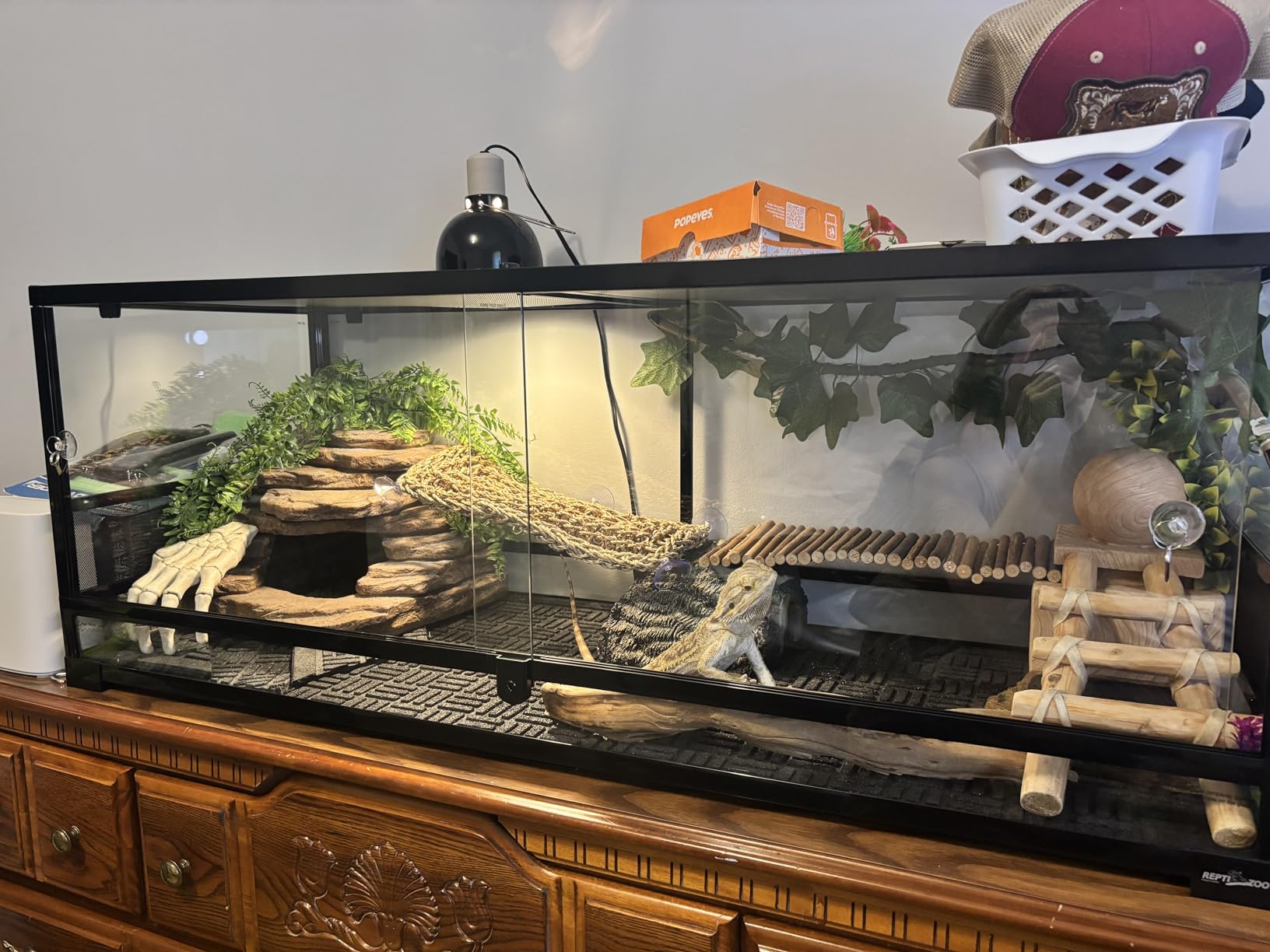 REPTI ZOO Large Reptile Terrarium, Vertical Reptile Tank, Wide & Tall Chameleon Cage, 36