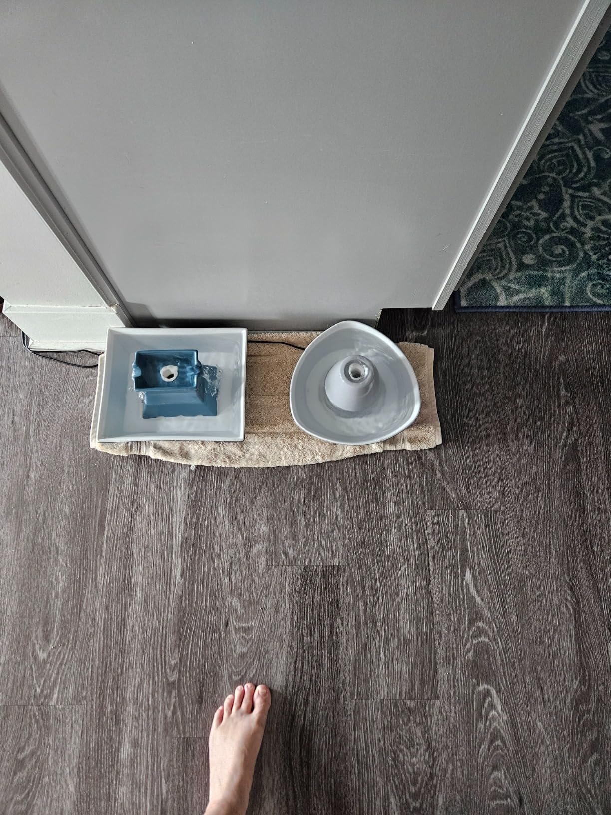 PetSafe Ceramic Pet Fountain - for Cats and Small Dogs - 60 Oz Water Capacity - Whisper-Quiet Water Flow - Great for Shy or Timid Pets - Fresh, Filtered Water customer photo 2