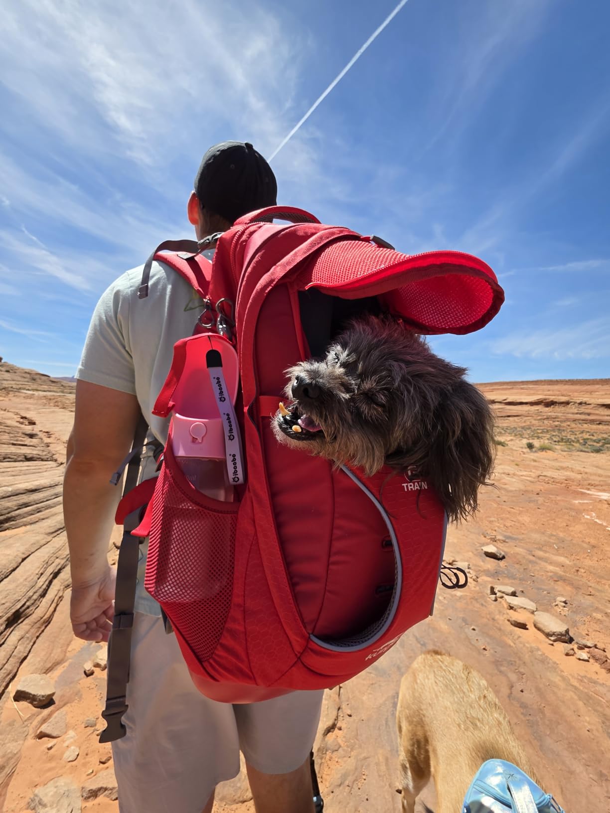 Kurgo G-Train Dog Carrier Backpack - Comfortable Travel Bag for Pets Up to 25 lbs - Waterproof Bottom - Multi-Compartment Pack - Dog Hiking Gear - Rugged Adventure Backpack - Red customer photo 1