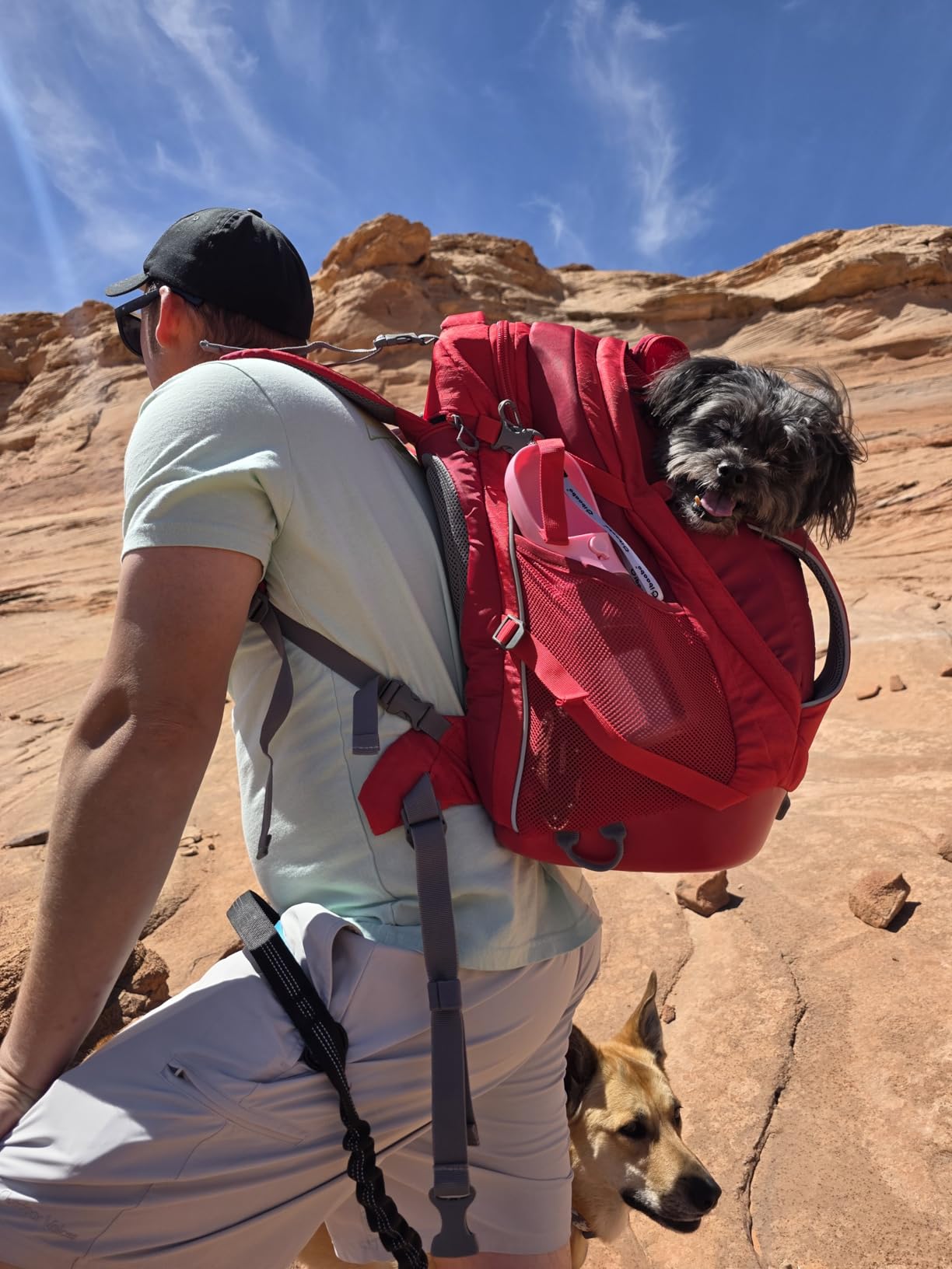 Kurgo G-Train Dog Carrier Backpack - Comfortable Travel Bag for Pets Up to 25 lbs - Waterproof Bottom - Multi-Compartment Pack - Dog Hiking Gear - Rugged Adventure Backpack - Red customer photo 2