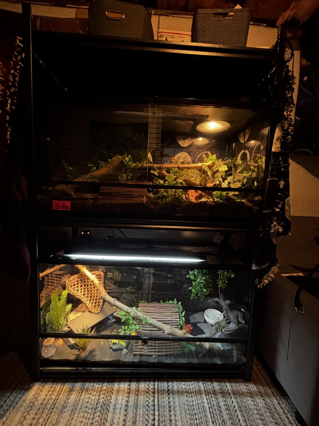 Carolina Custom Cages, BDH 24L x 24W x 48H Bio Deep Hybrid Terrarium; Easy Assembly customer photo 1