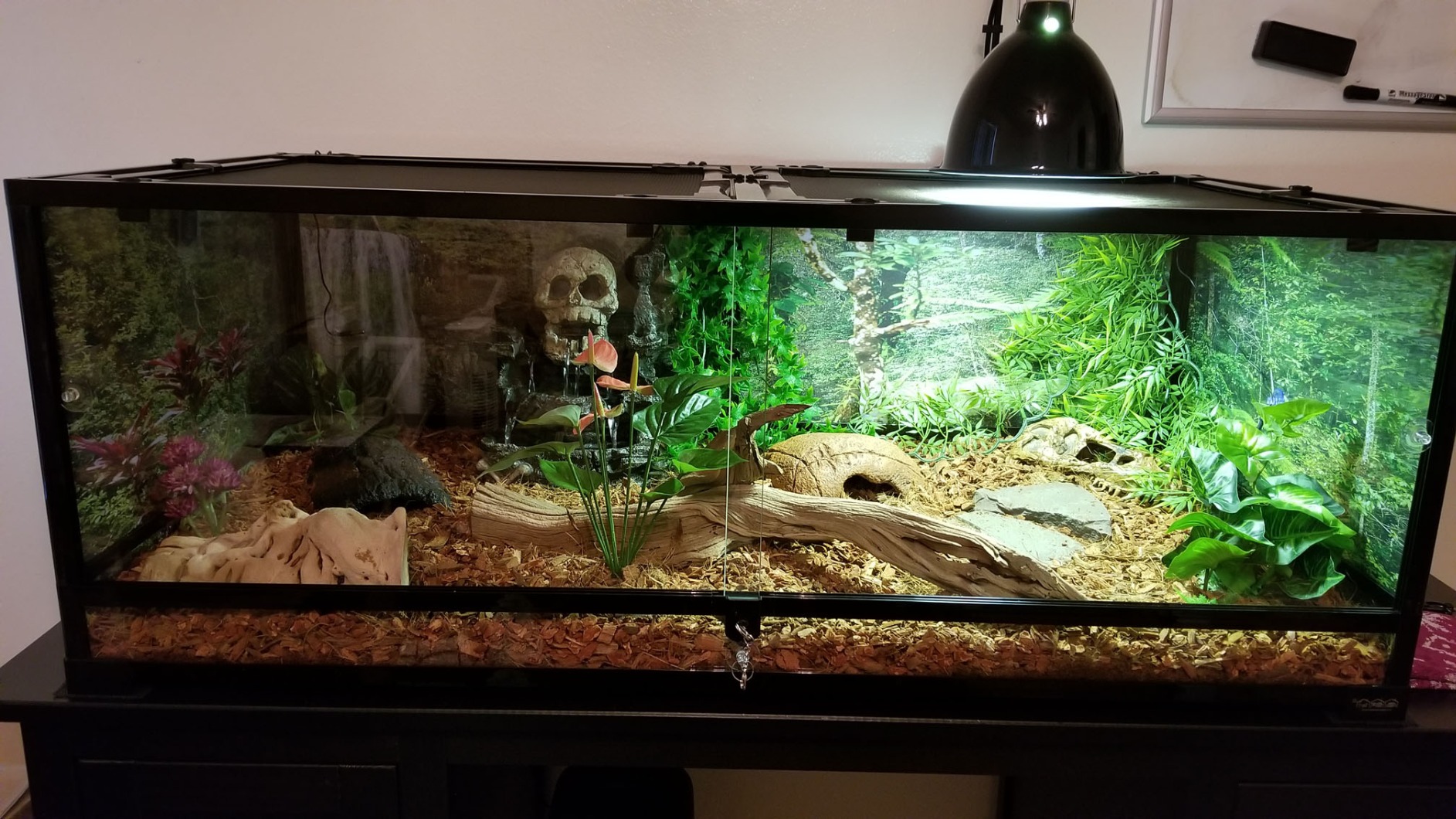 Carolina Custom Cages, BDH 24L x 24W x 48H Bio Deep Hybrid Terrarium; Easy Assembly customer photo 2