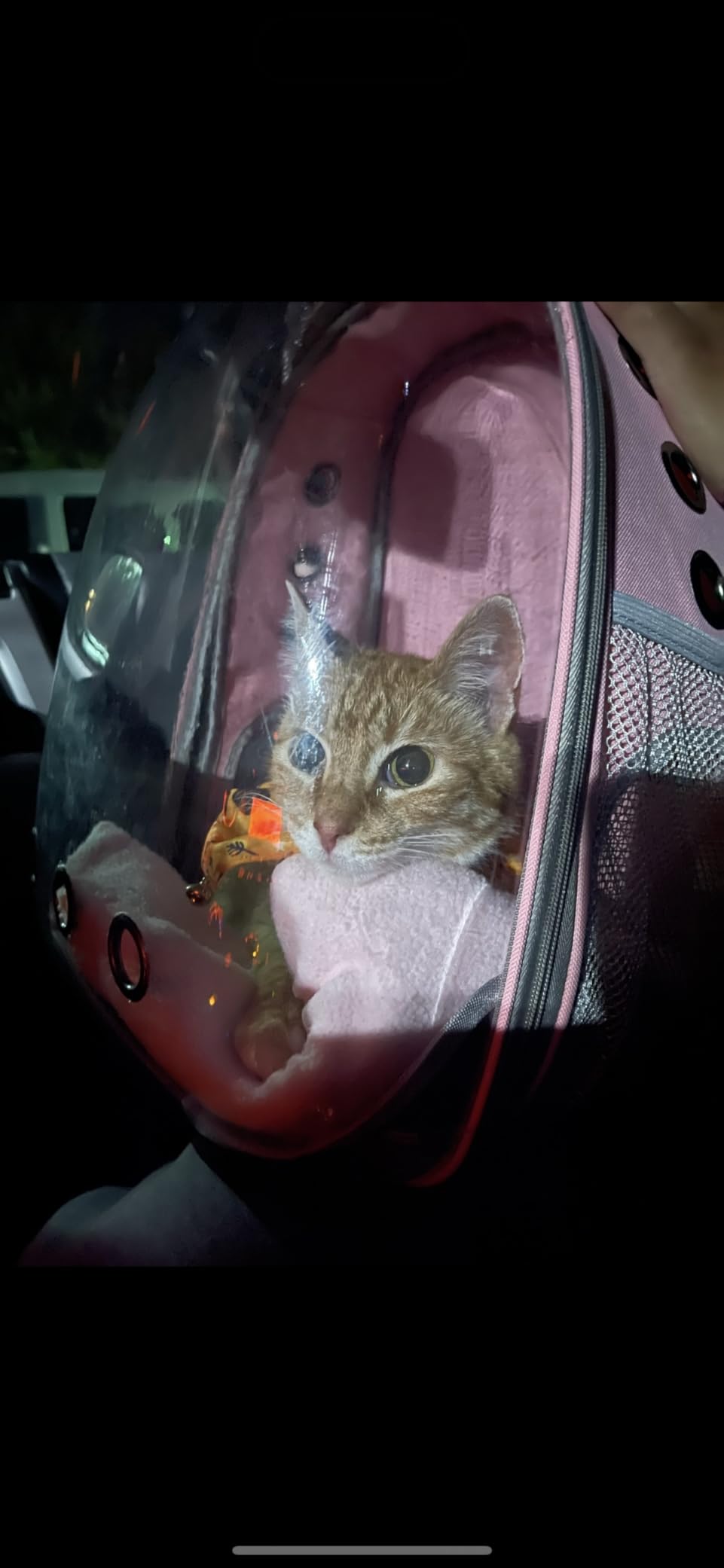 Henkelion Travel Backpack Bubble Carrying Bag for Small Medium Dogs Cats, Space Capsule Pet Carrier Dog for Hiking, Airline Approved - Green customer photo 1